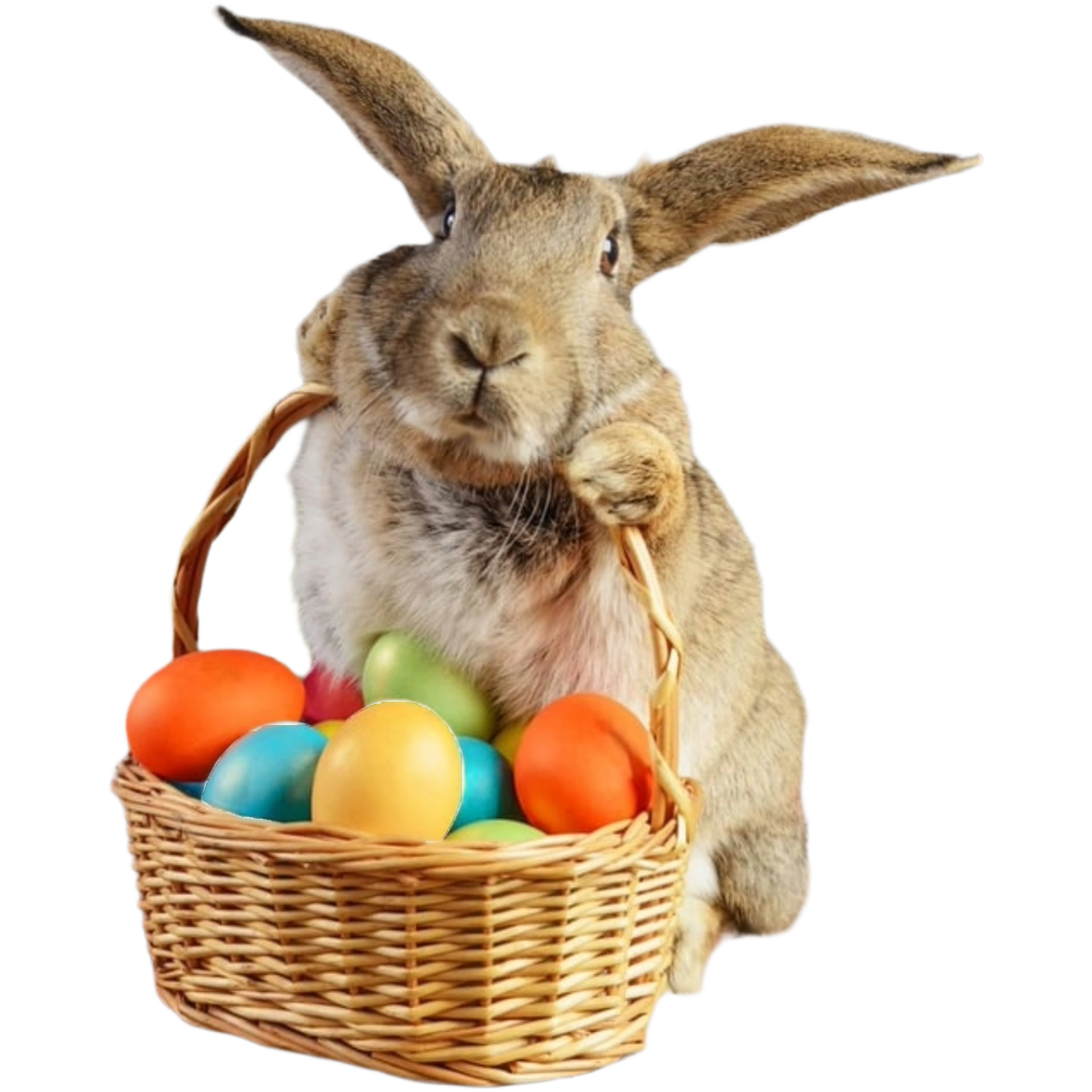 Easter Set