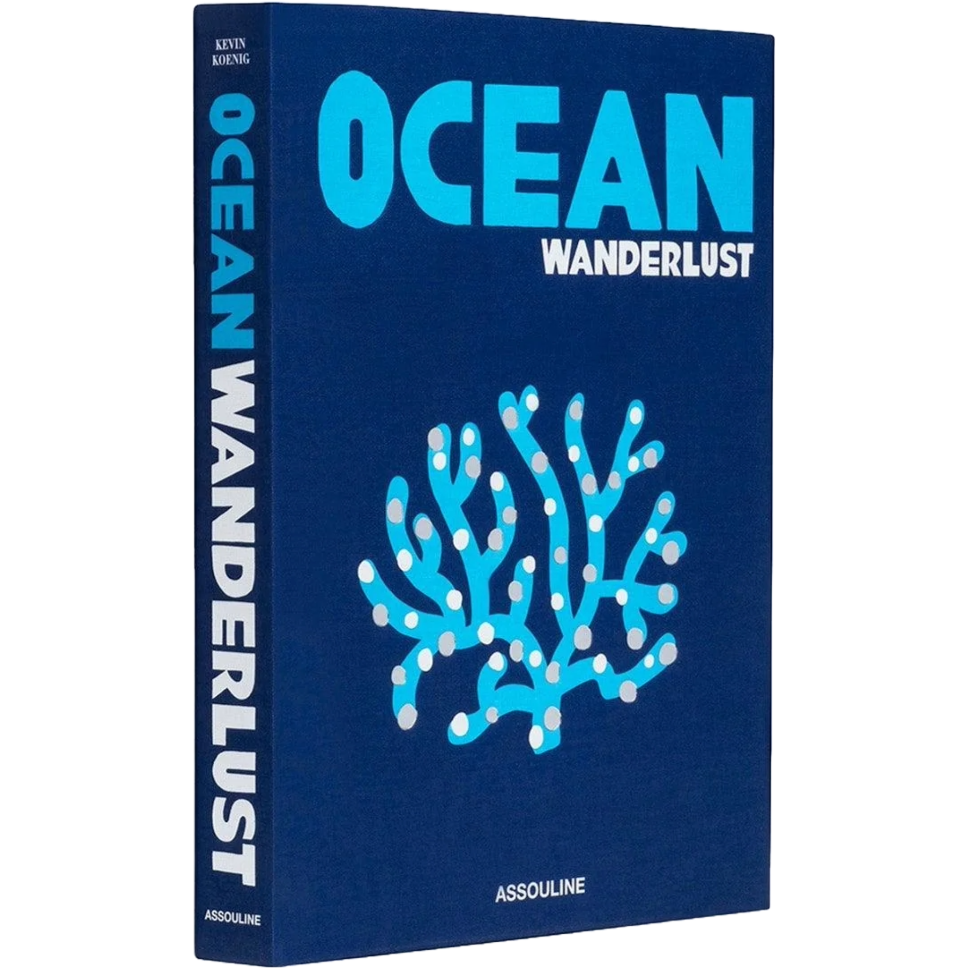 Ocean Wanderlust