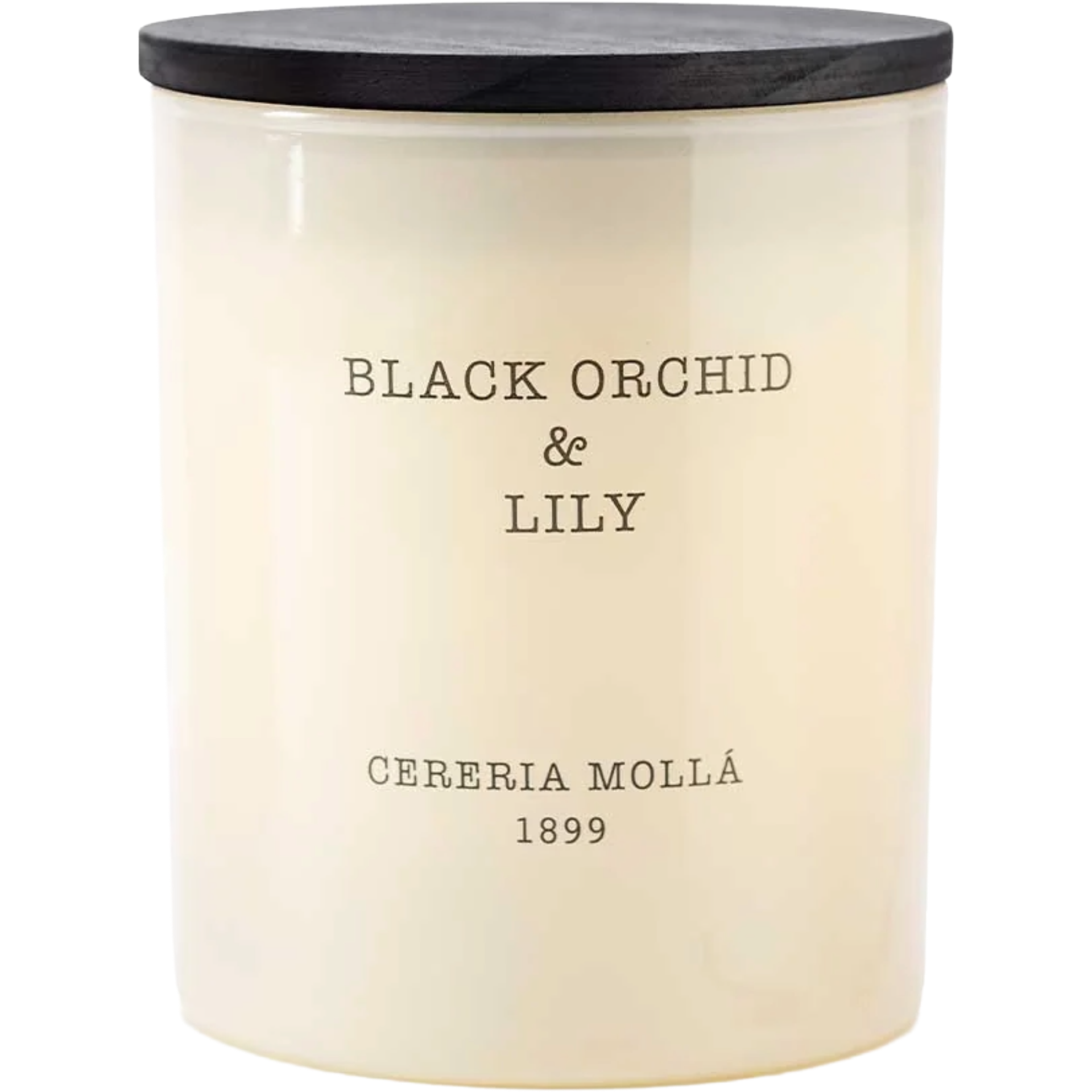 Black Orchid & Lily 230g Candle