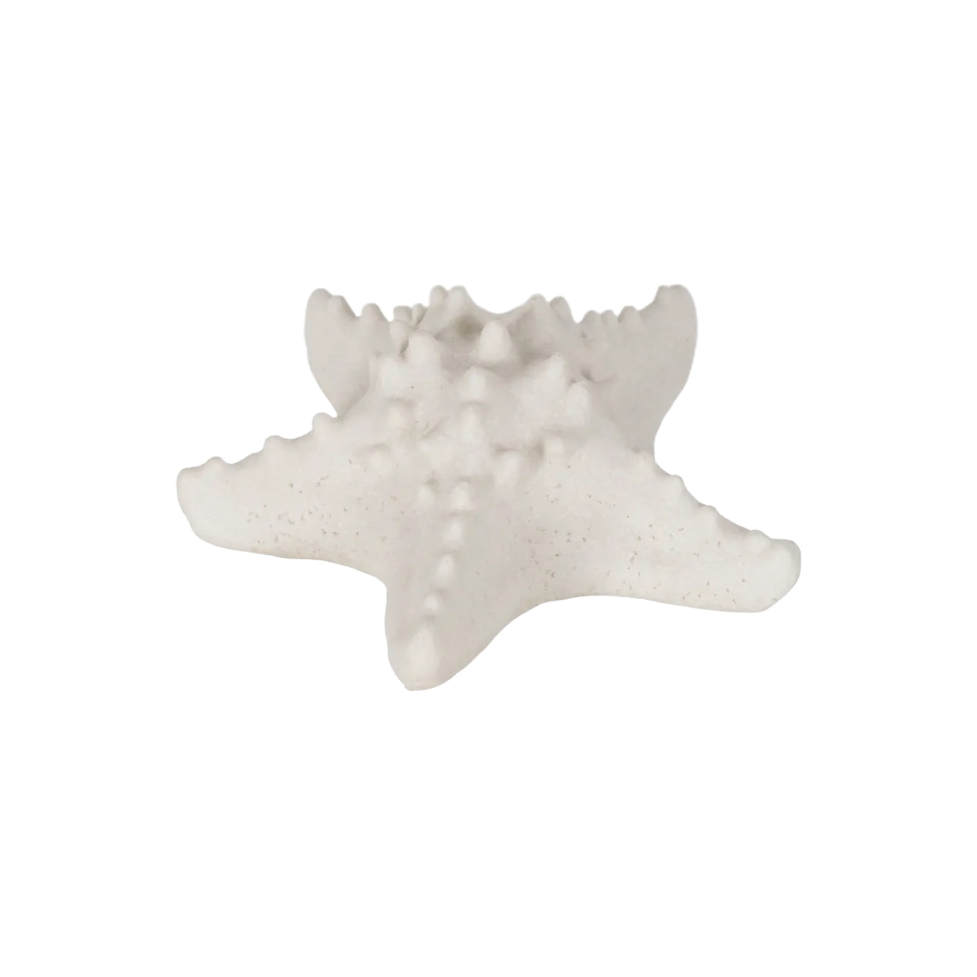 Starfish Battery Table Lamp