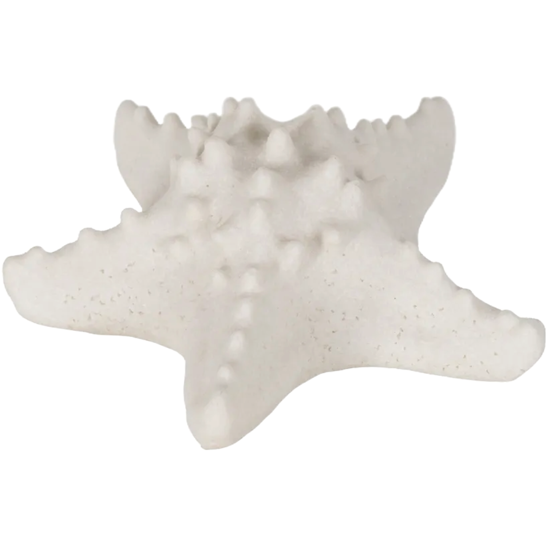 Starfish Lamp