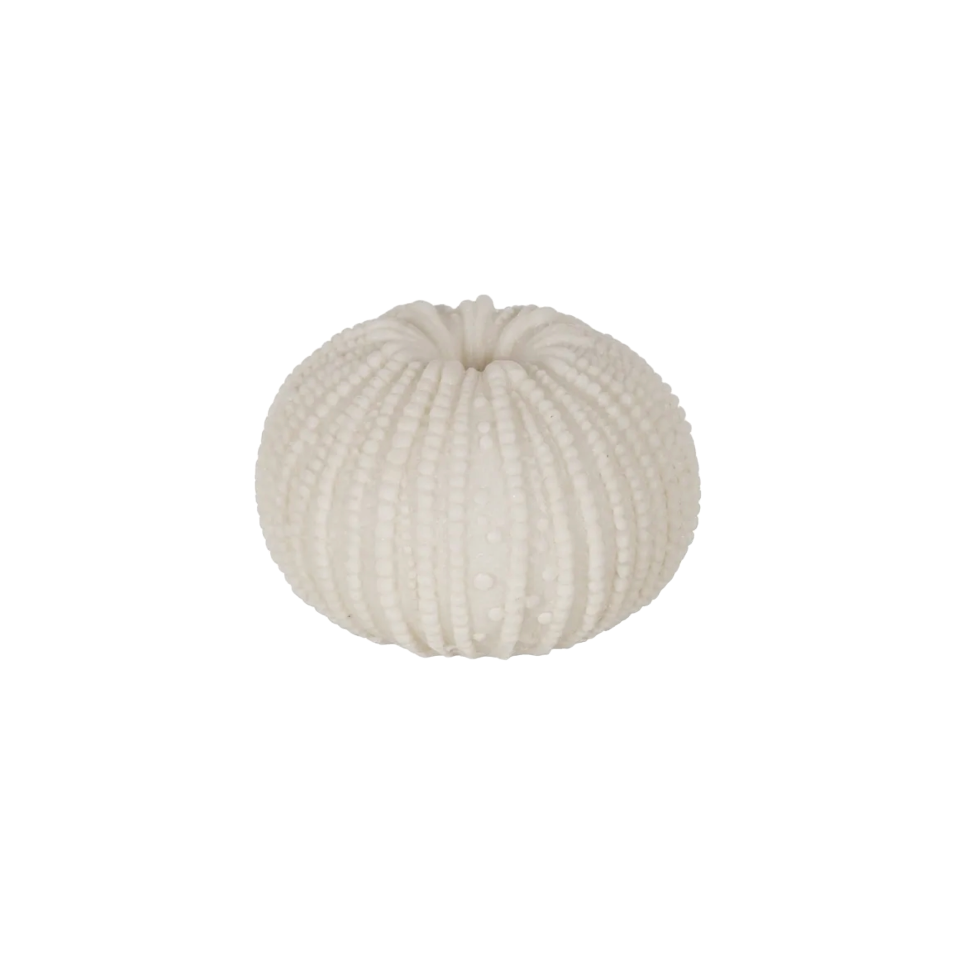 Sea Urchin Battery Table Lamp