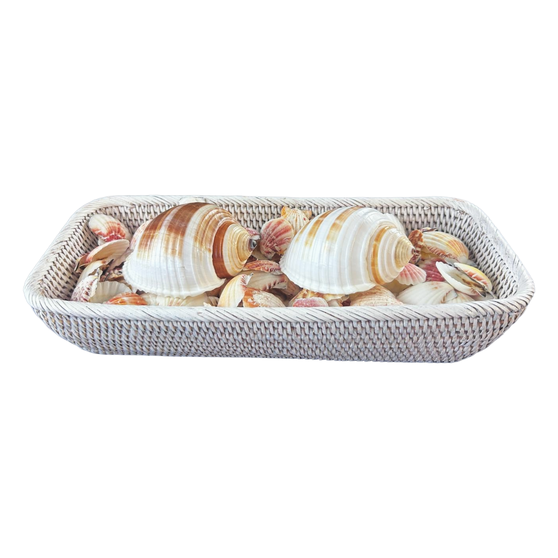White Rattan Basket of Shells