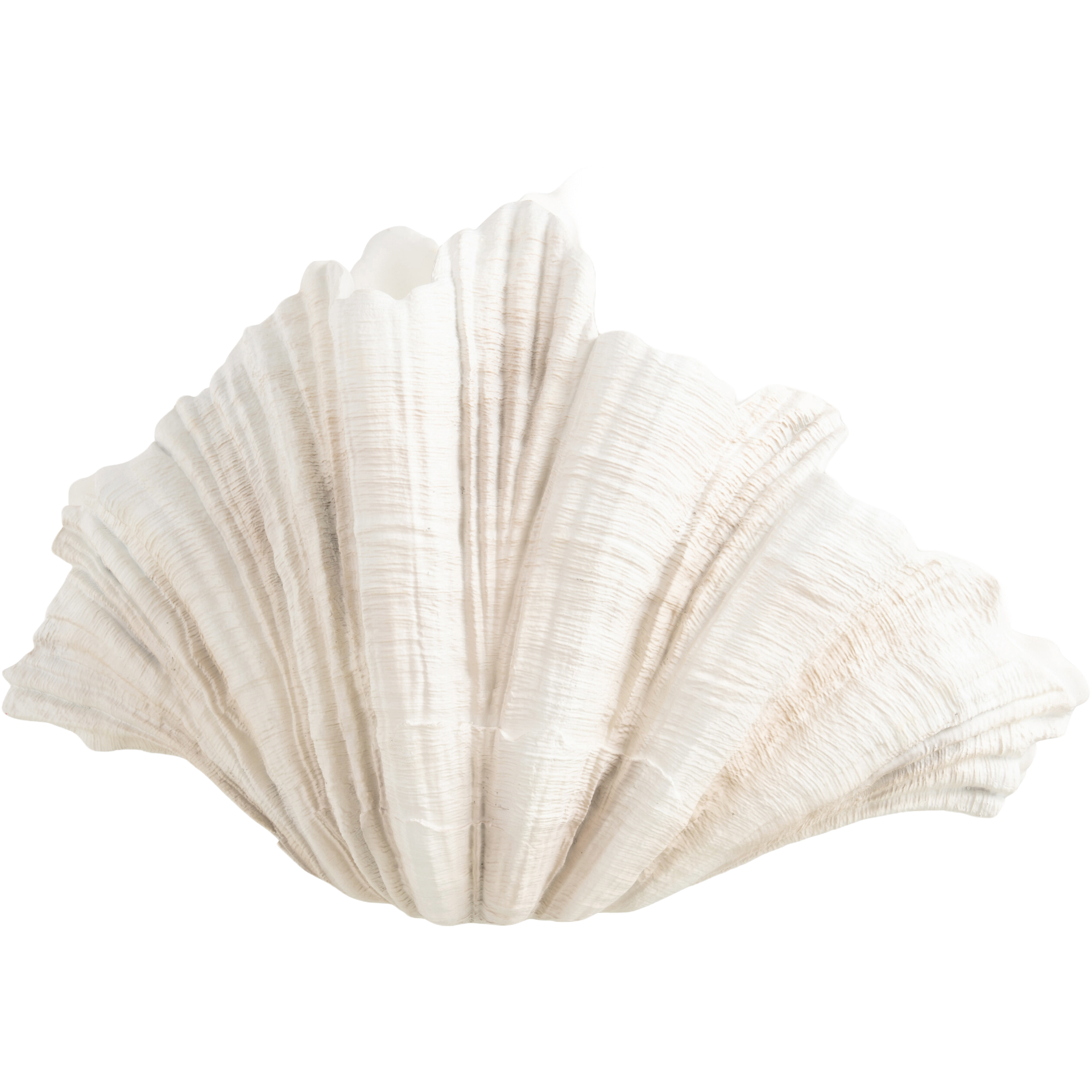 Clam Shell Deco Vase