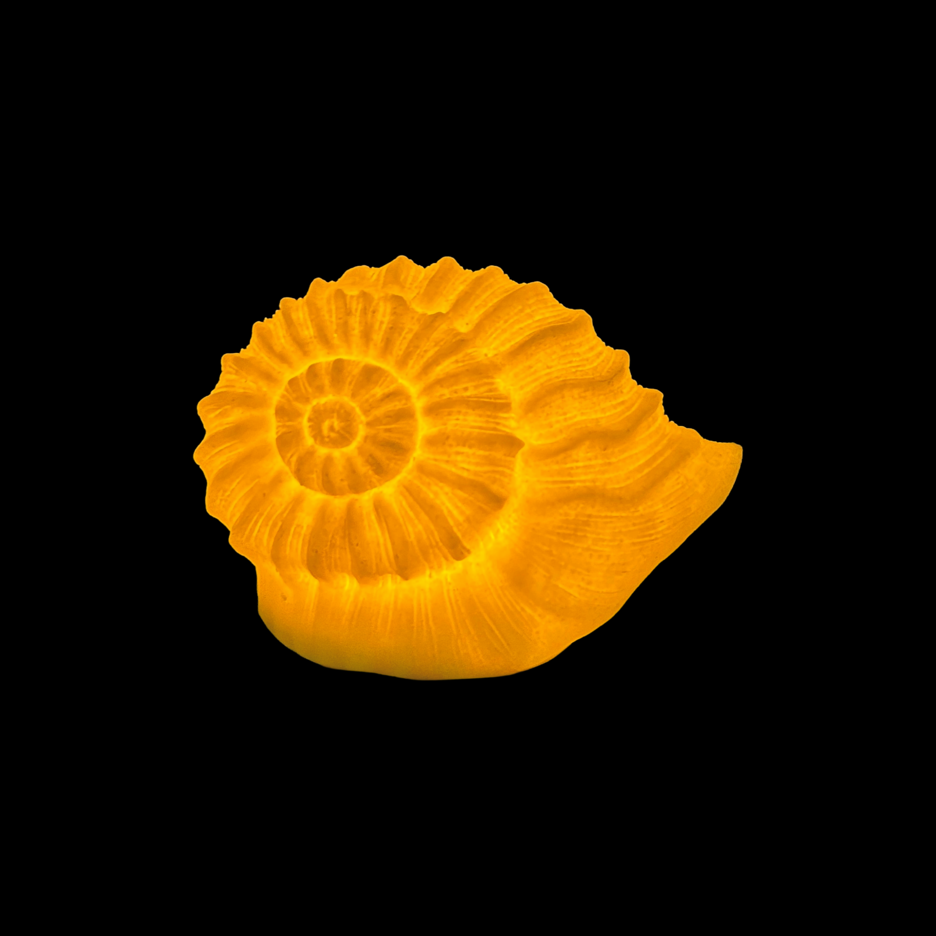 Snail Battery Table Lamp 