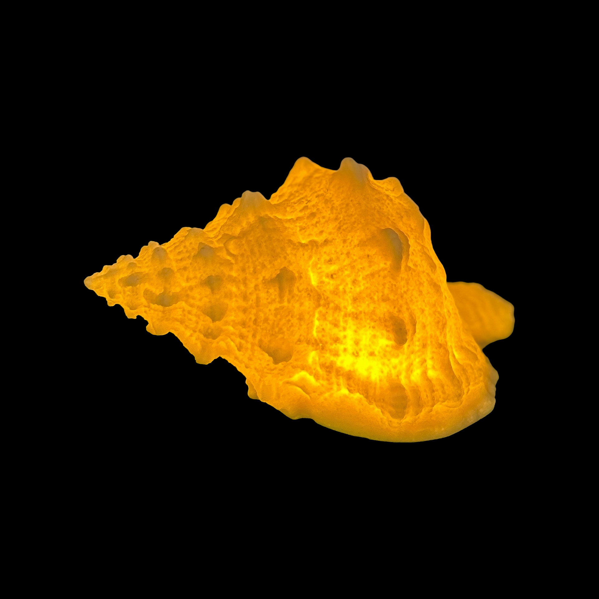 Shell Battery Table Lamp
