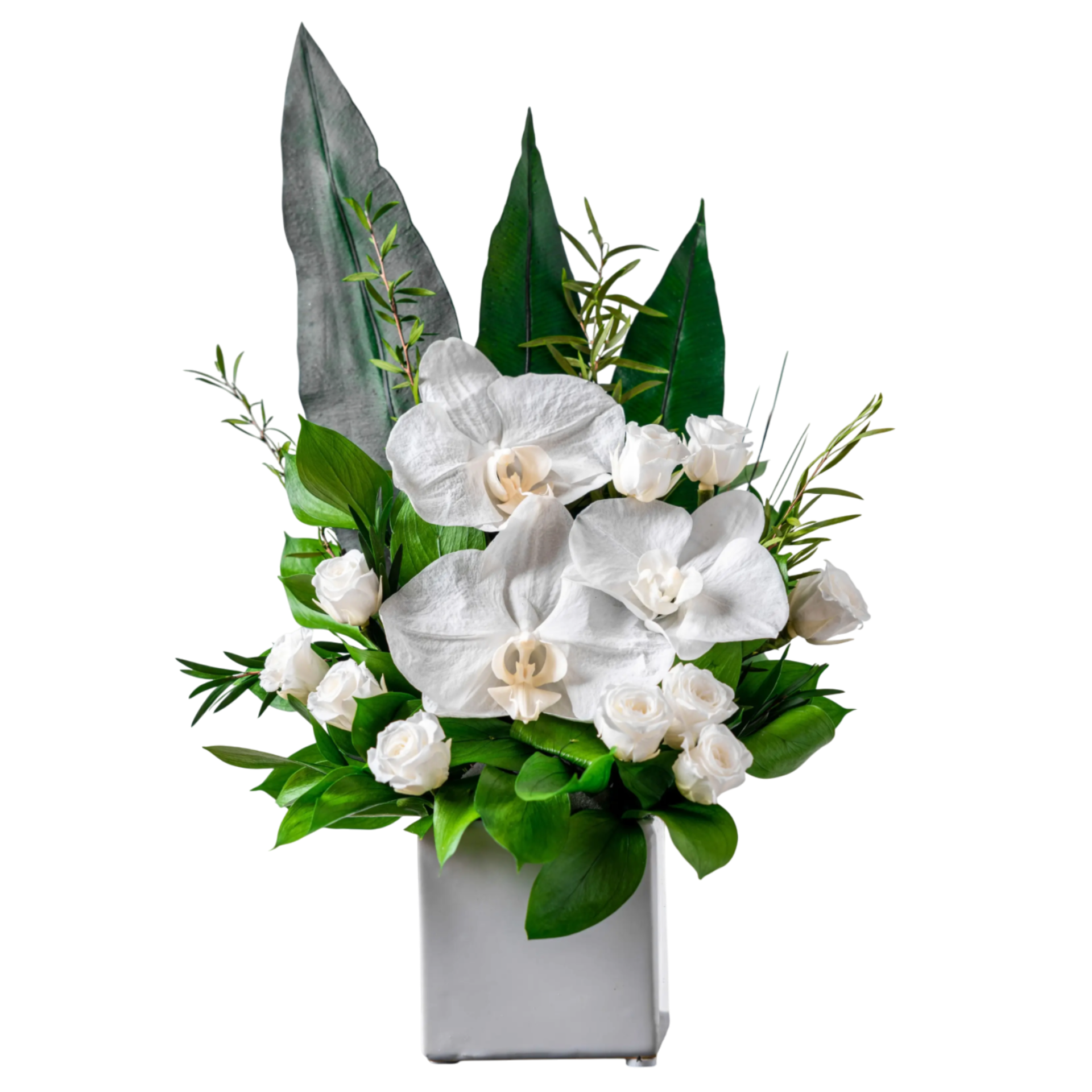 Vivine - Preserved Flower Arrangement