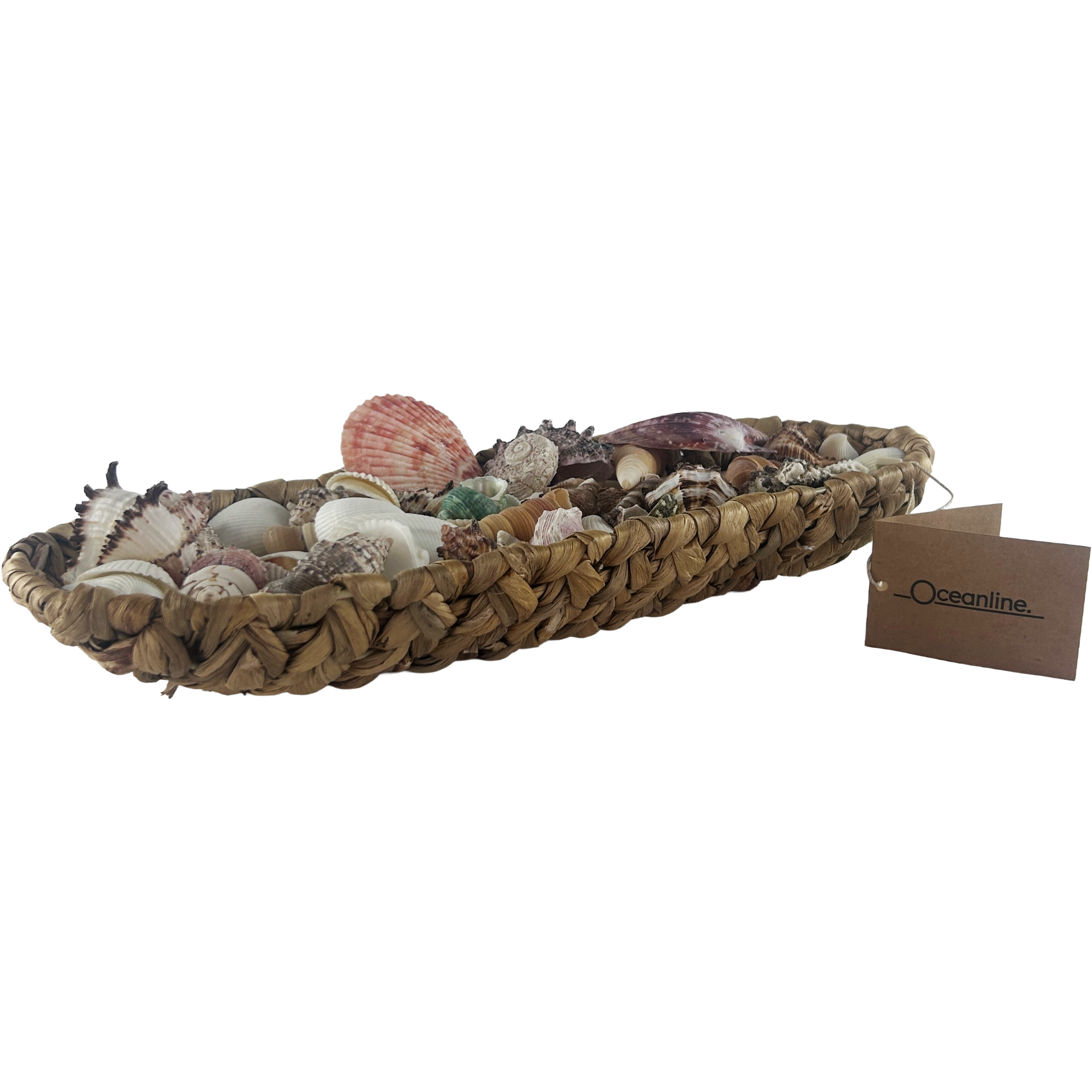 Large Wicker Basket of Shells