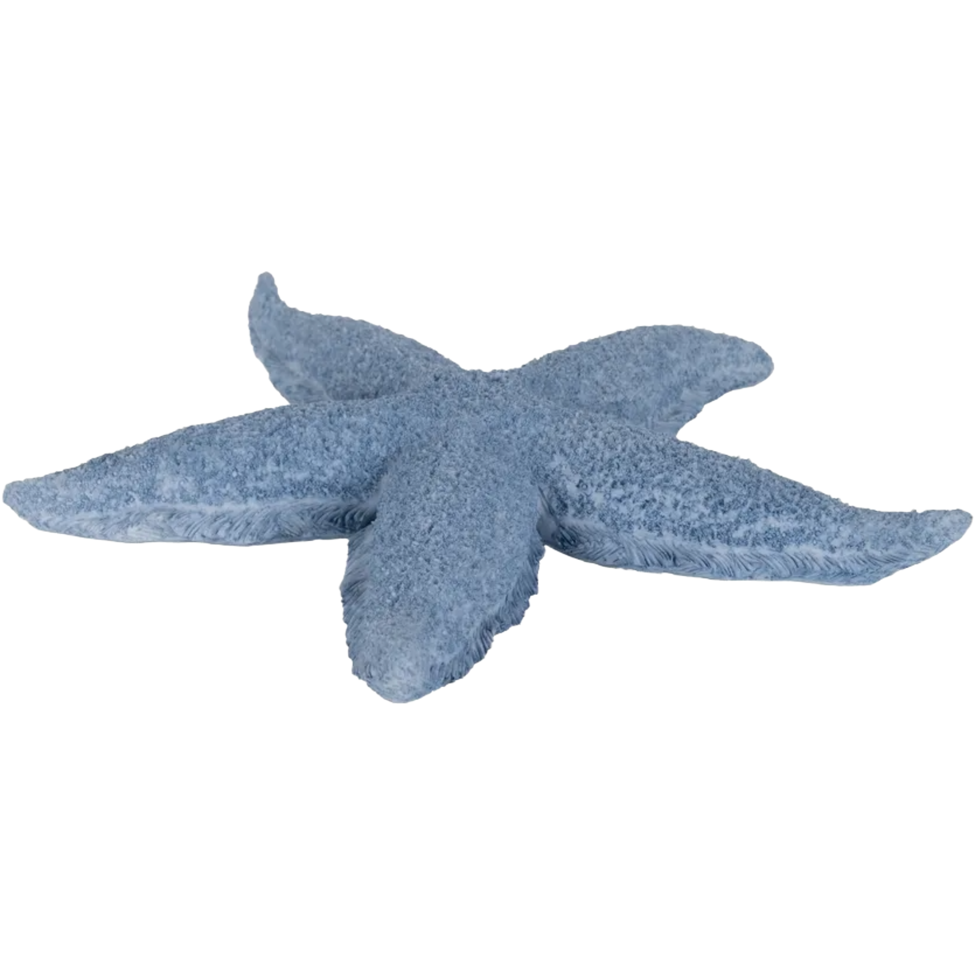 Blue Resin Starfish