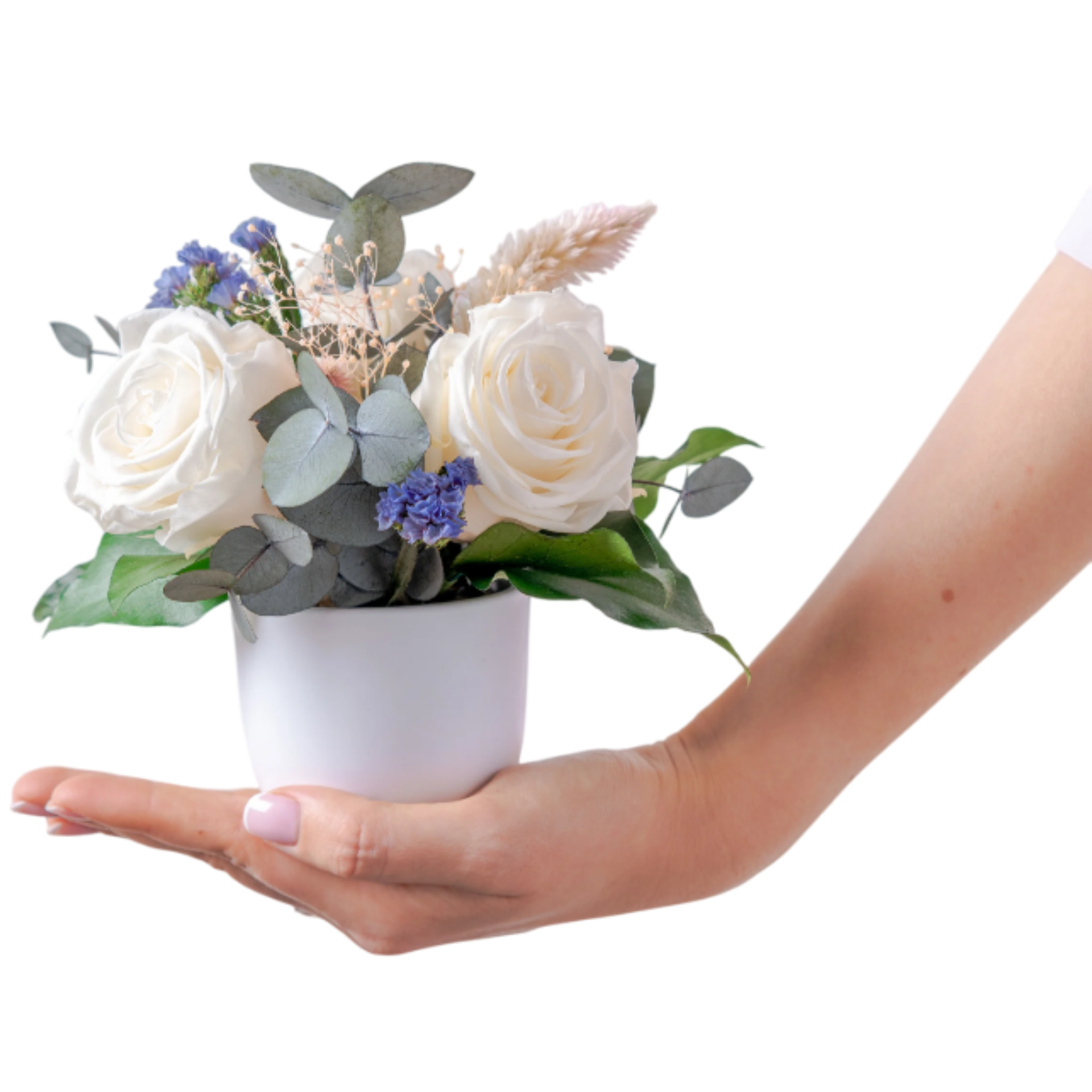 Petite - Preserved Flower Arrangement