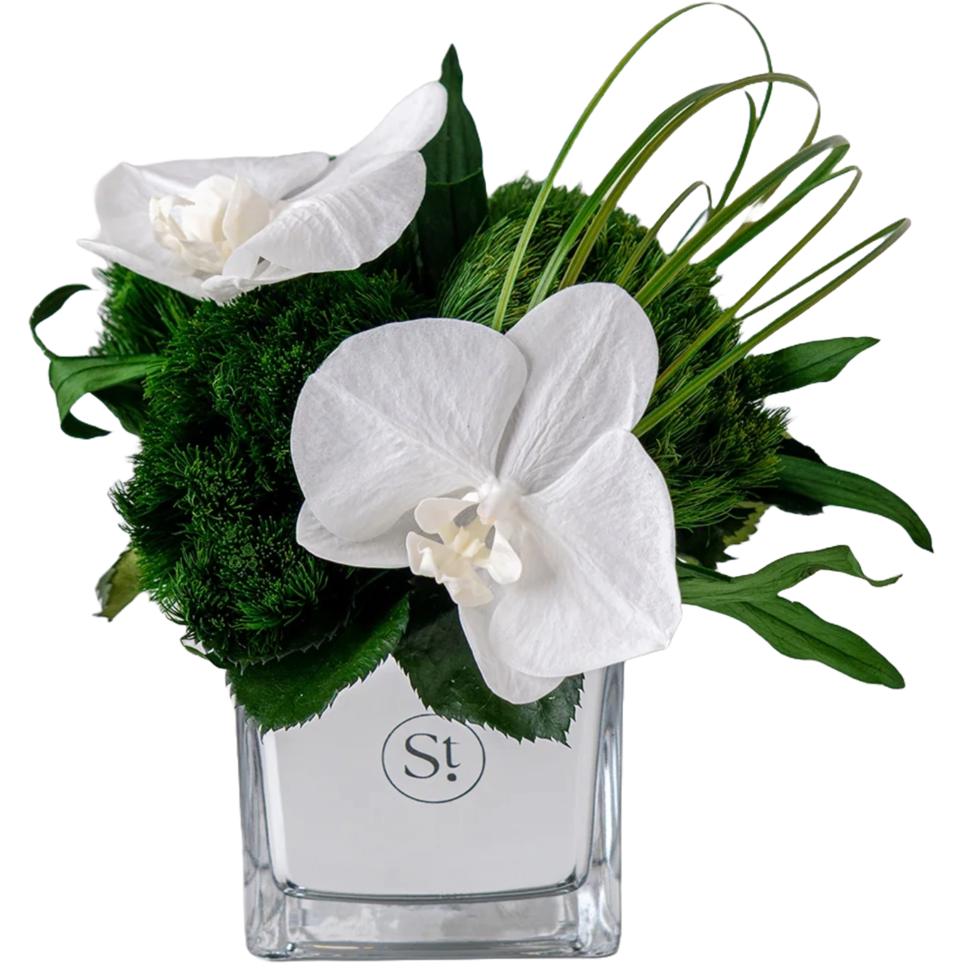 Veil - Preserved Flower Arrangement