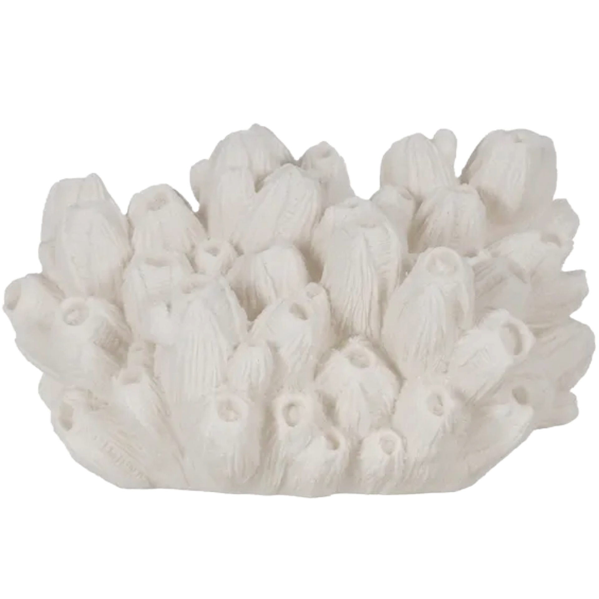 Coral Table Lamp
