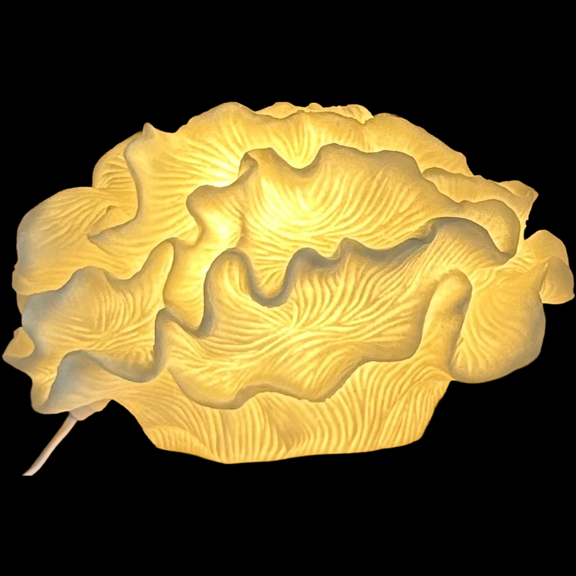 Coral Table Lamp