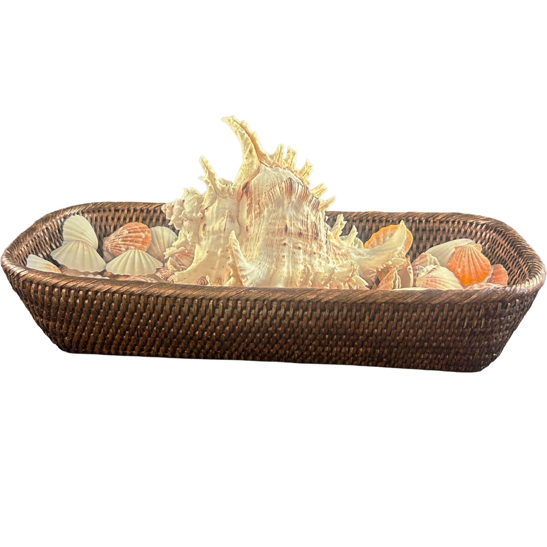 Wenge Rattan Basket of Shells