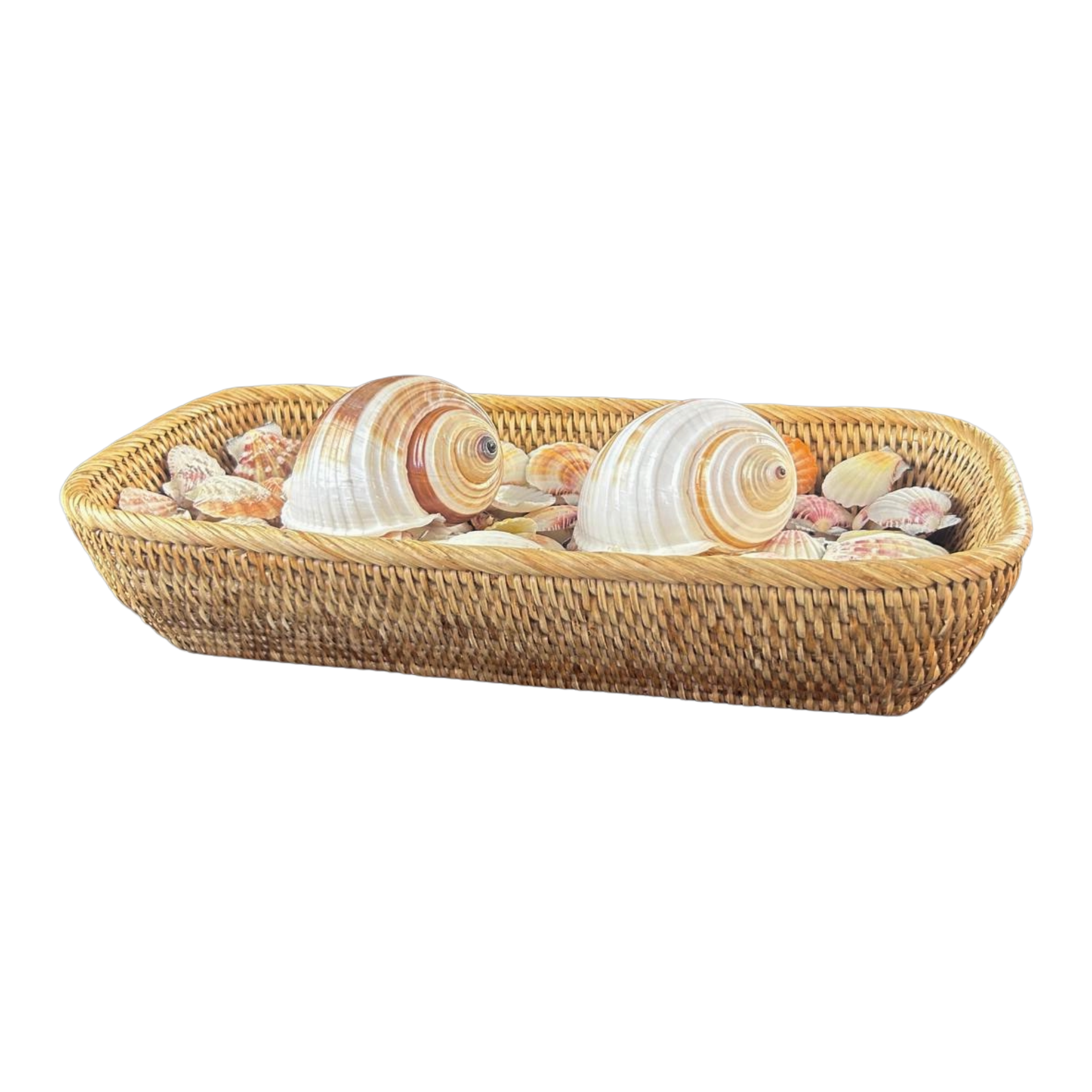 Natural Rattan Basket of Shells