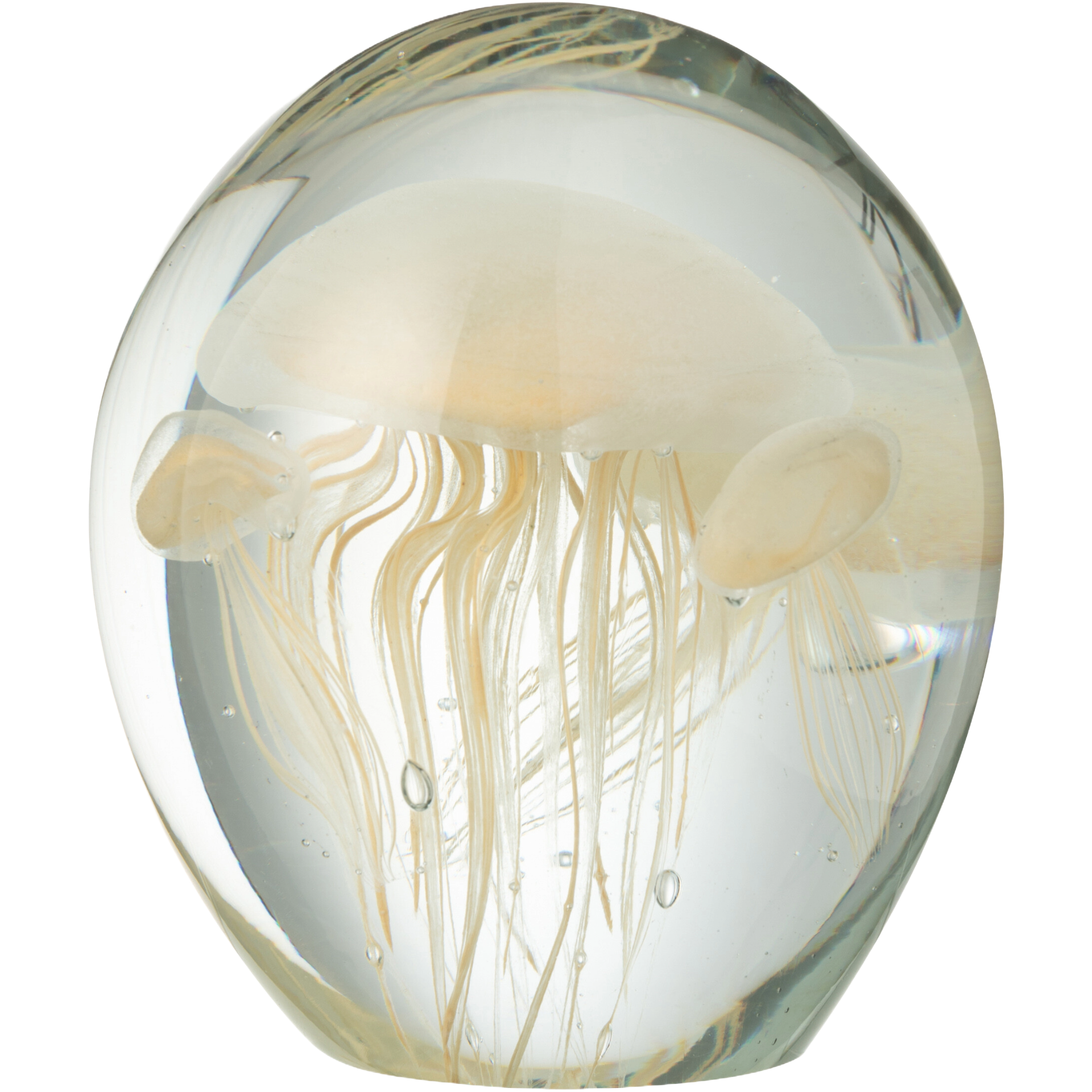 Jellyfish Calypso Glass 