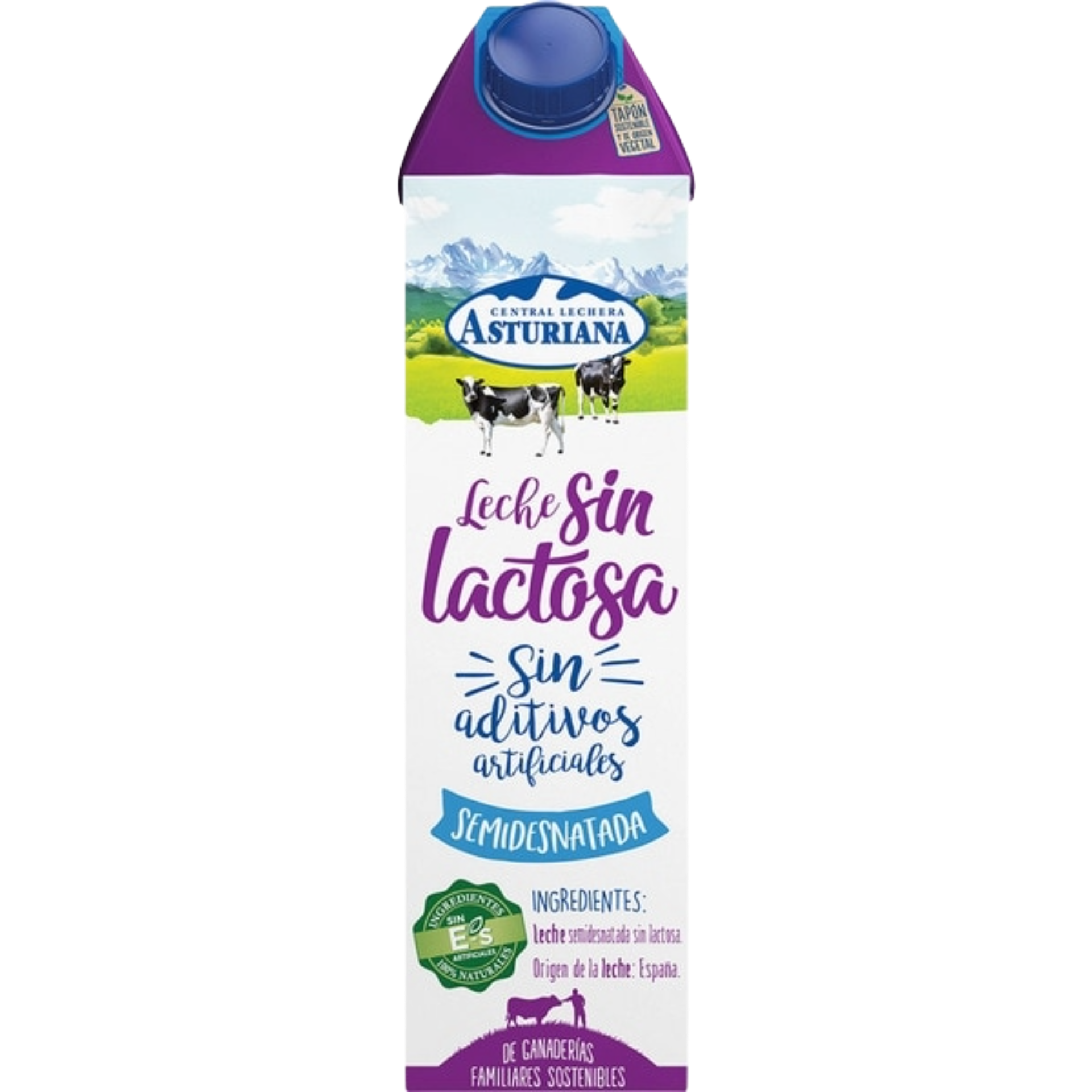 6 Pack Asturiana Lactose-Free Semi-Skimmed Milk 1L