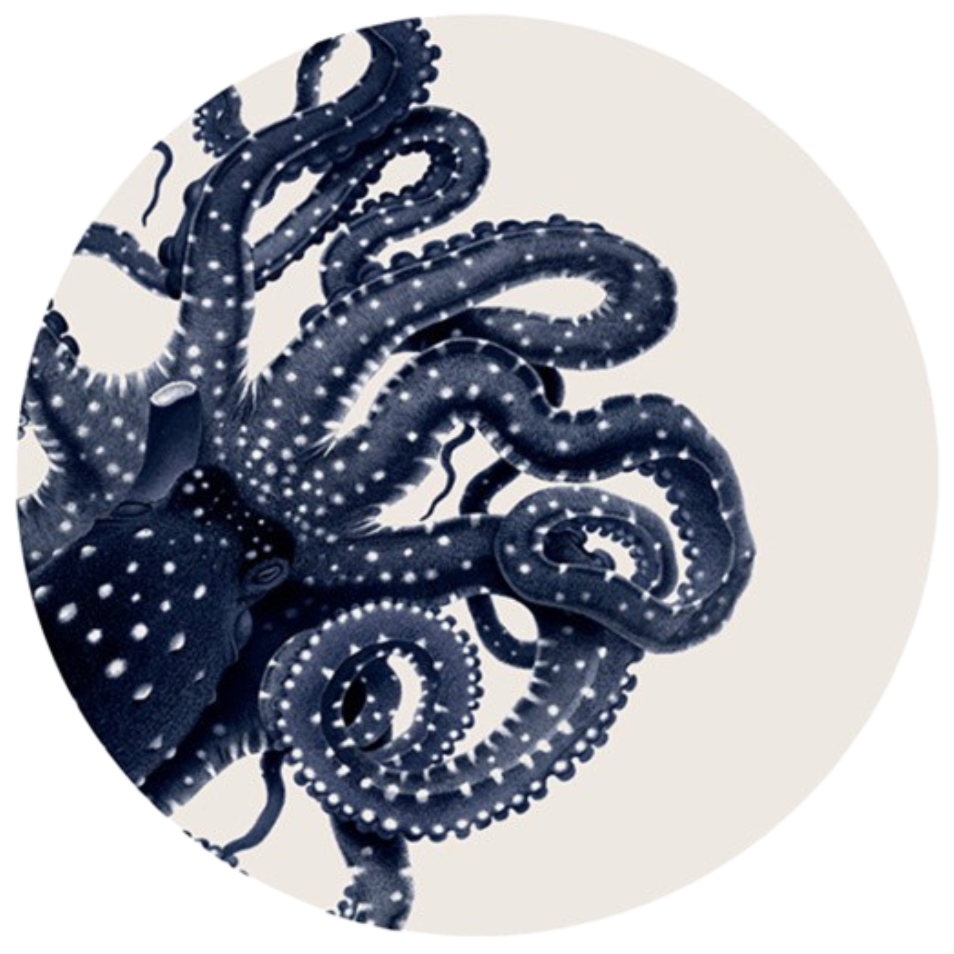 Set of 6 Polpo Blue Placemats
