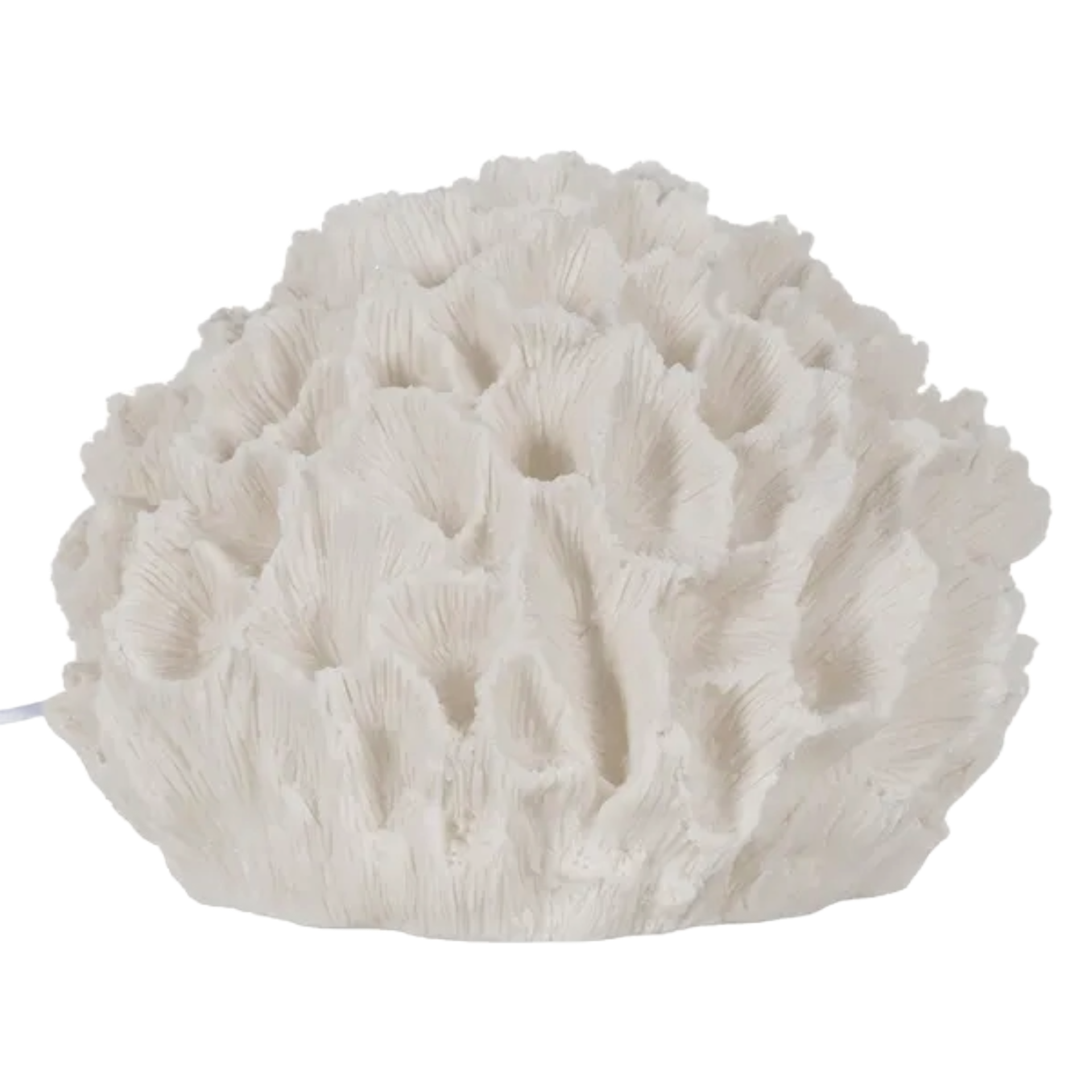 Coral Table Lamp