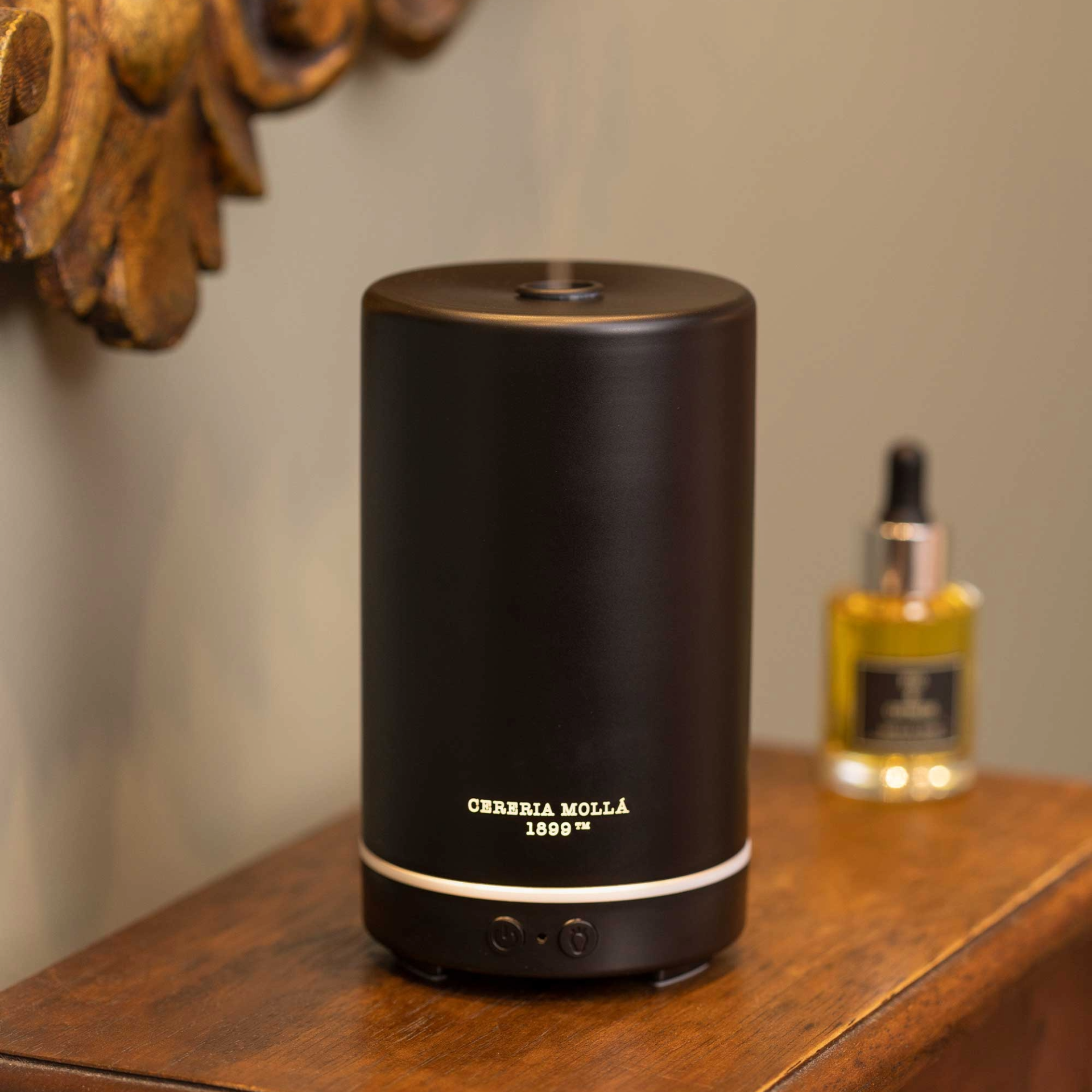 Electric Diffuser