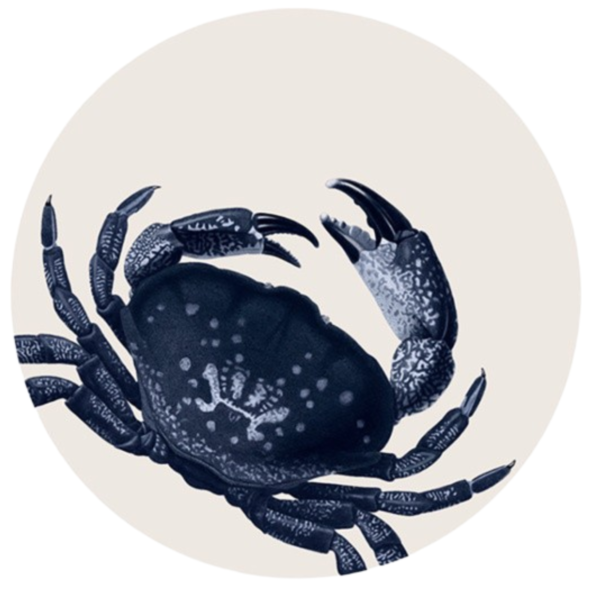 Set of 6 Granchio Blue Placemats