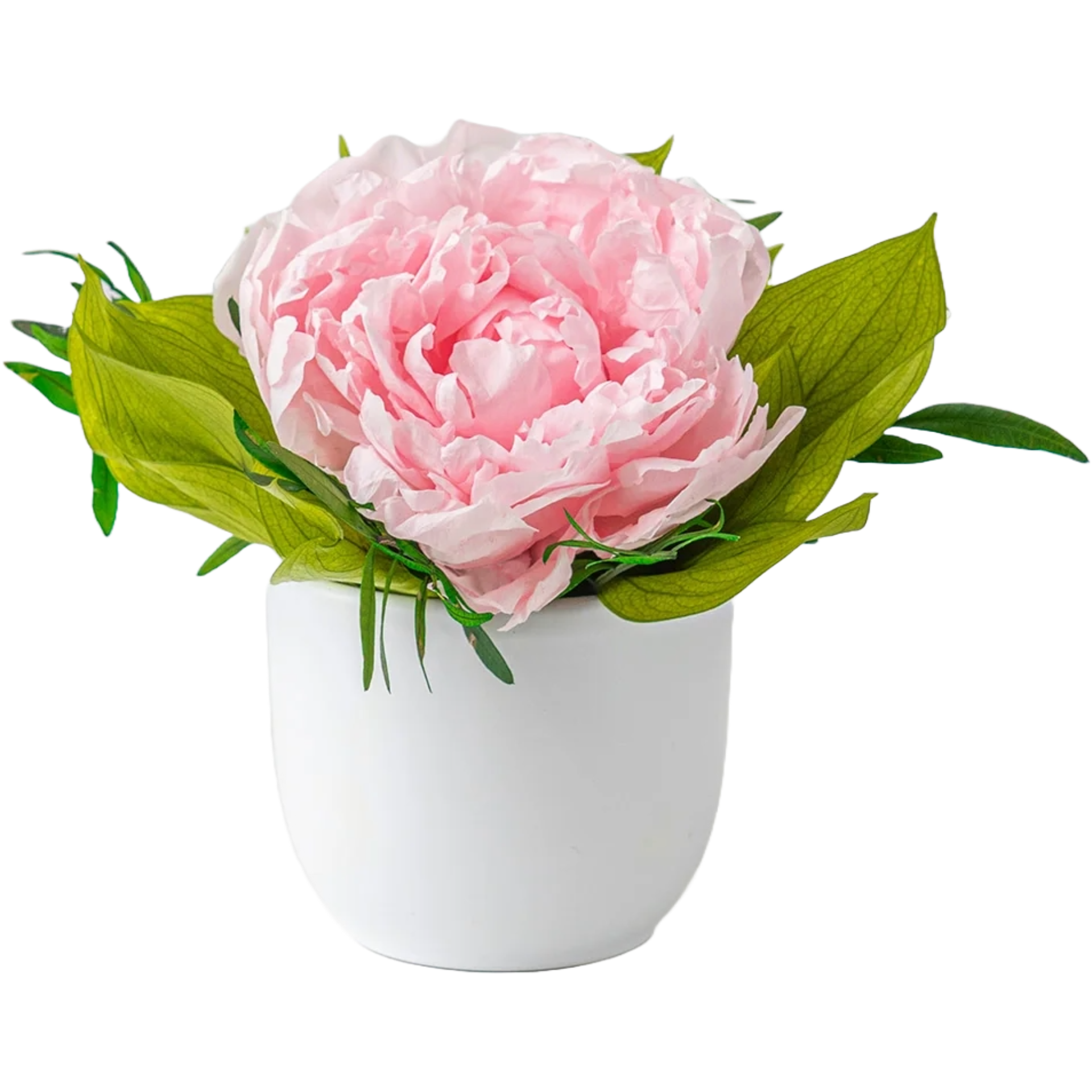 Bloom - Eternal Peony Arrangement