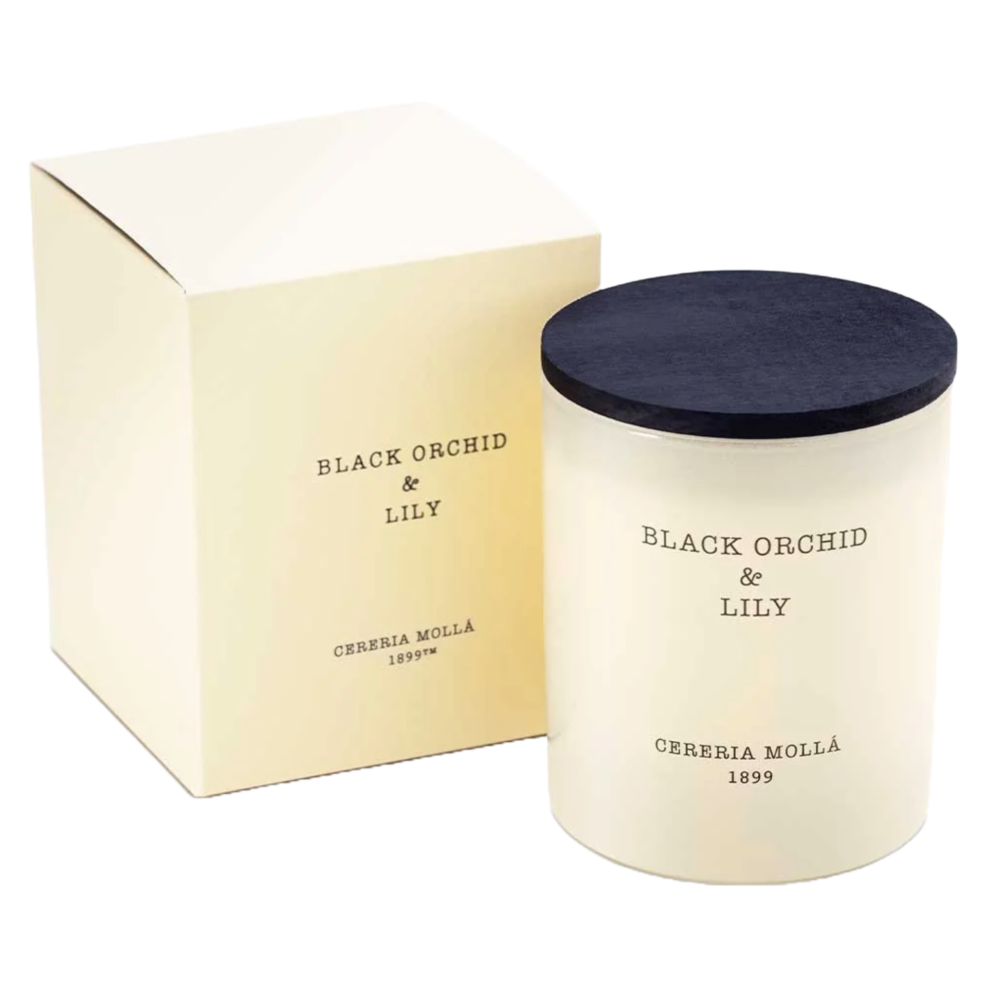 Black Orchid & Lily 230g Candle
