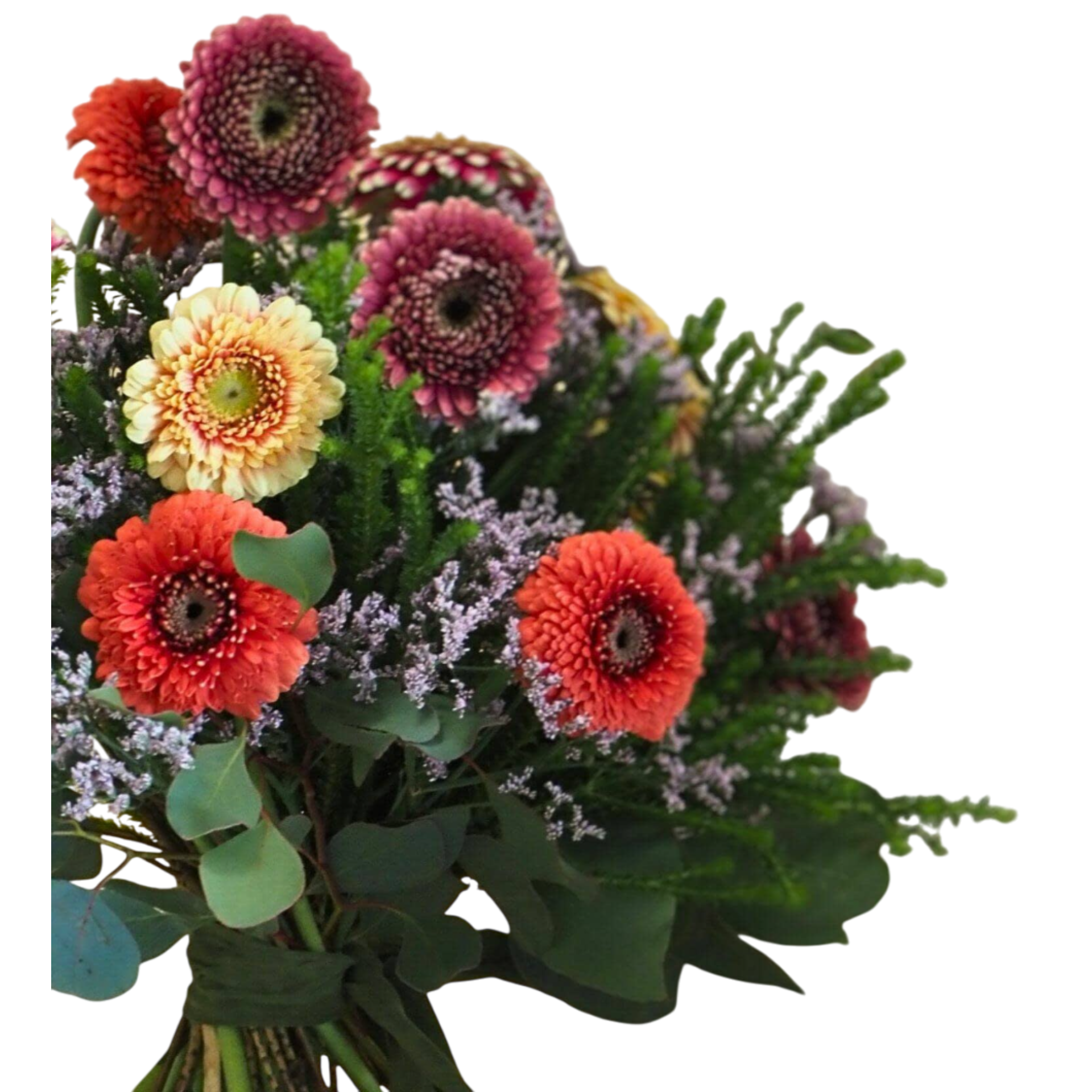 Aurora Bouquet