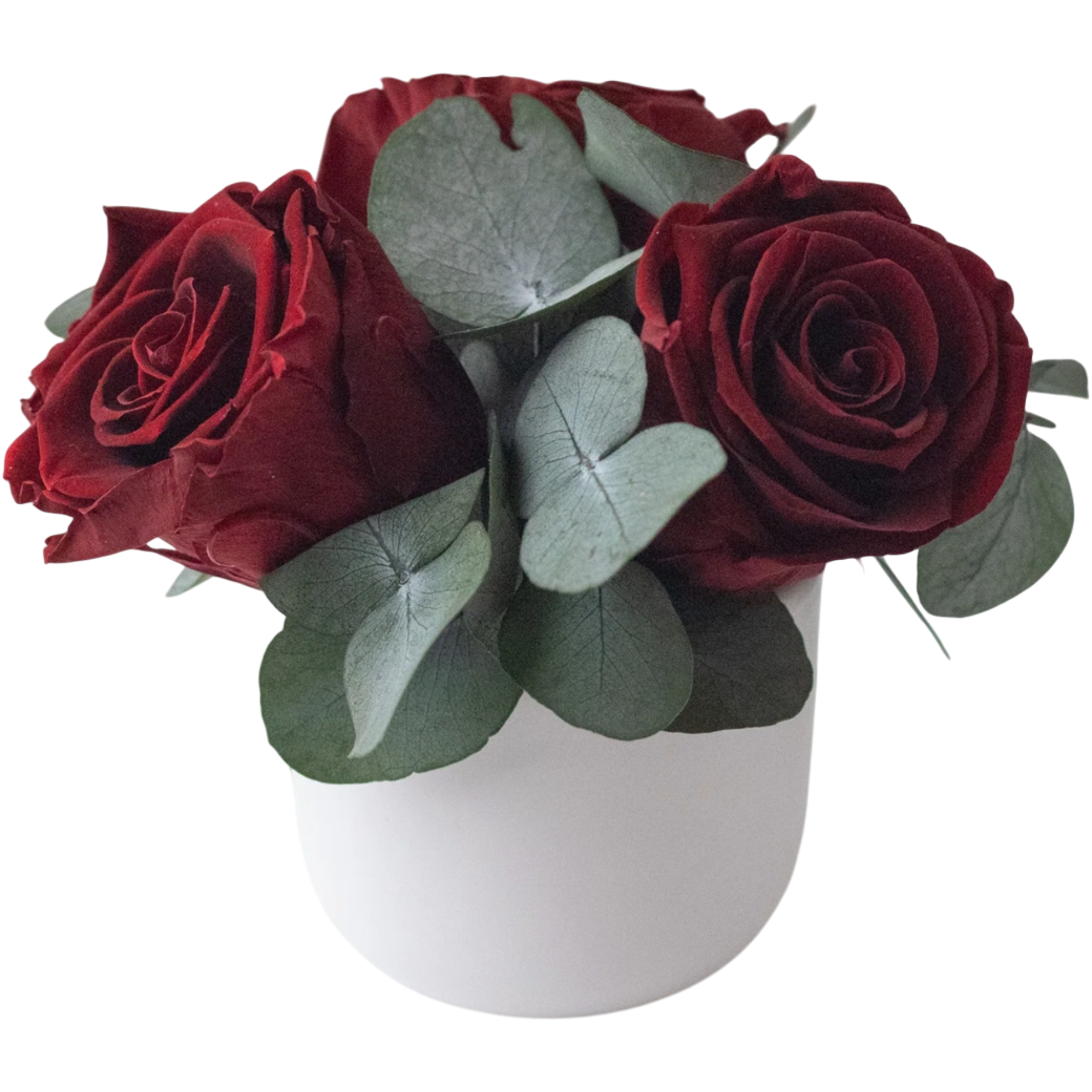 Mistletoe - Preserved Flower Arrangement
