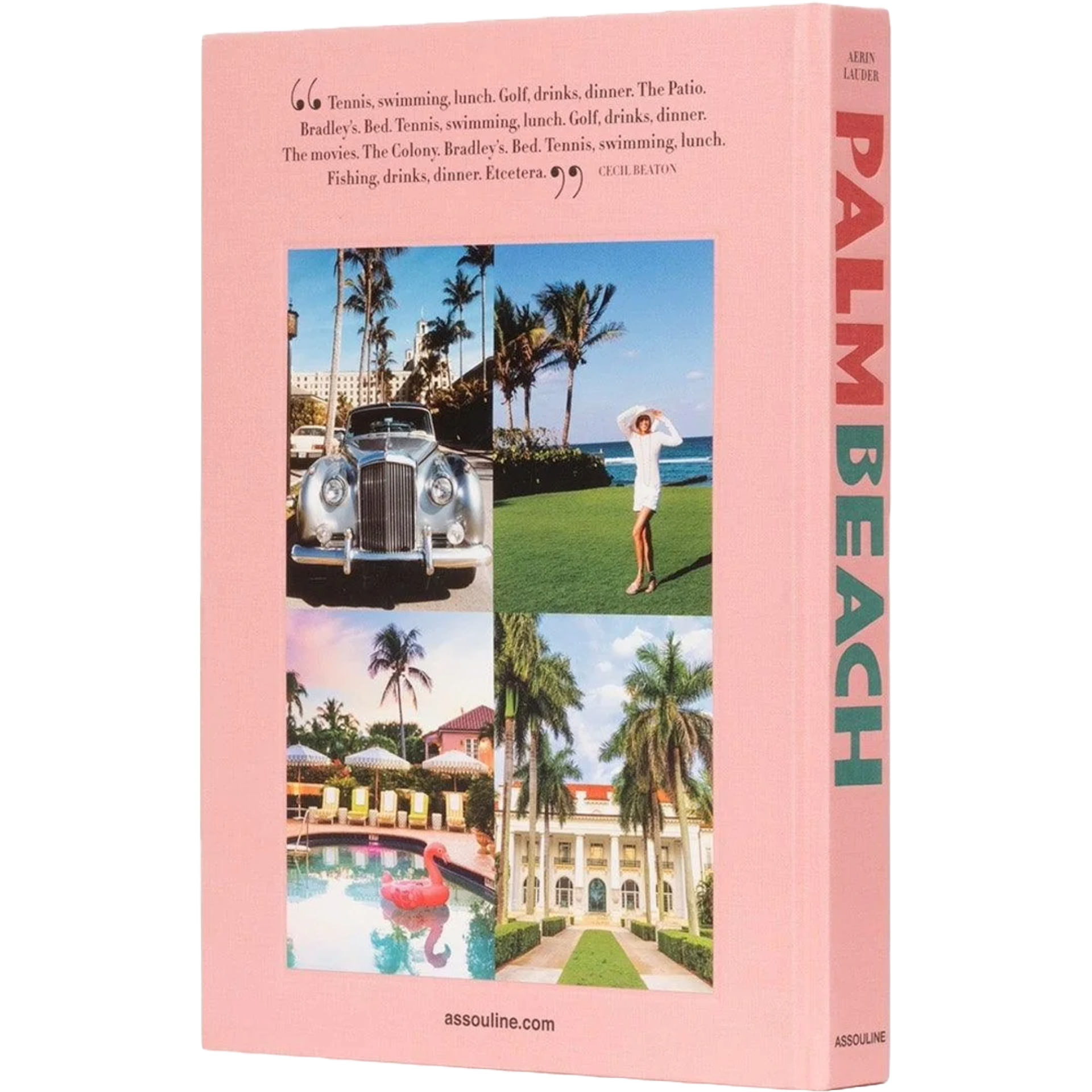 In questo splendido volume, Aerin Lauder, residente da lungo tempo e personaggio mondano di Palm Beach, ci conduce attraverso la sua Palm Beach.