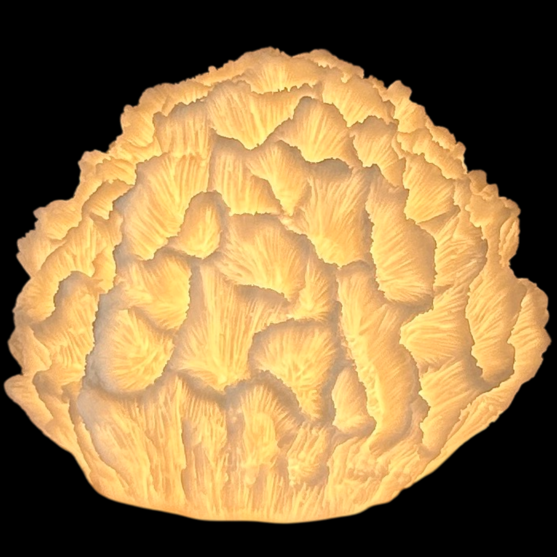 Coral Table Lamp