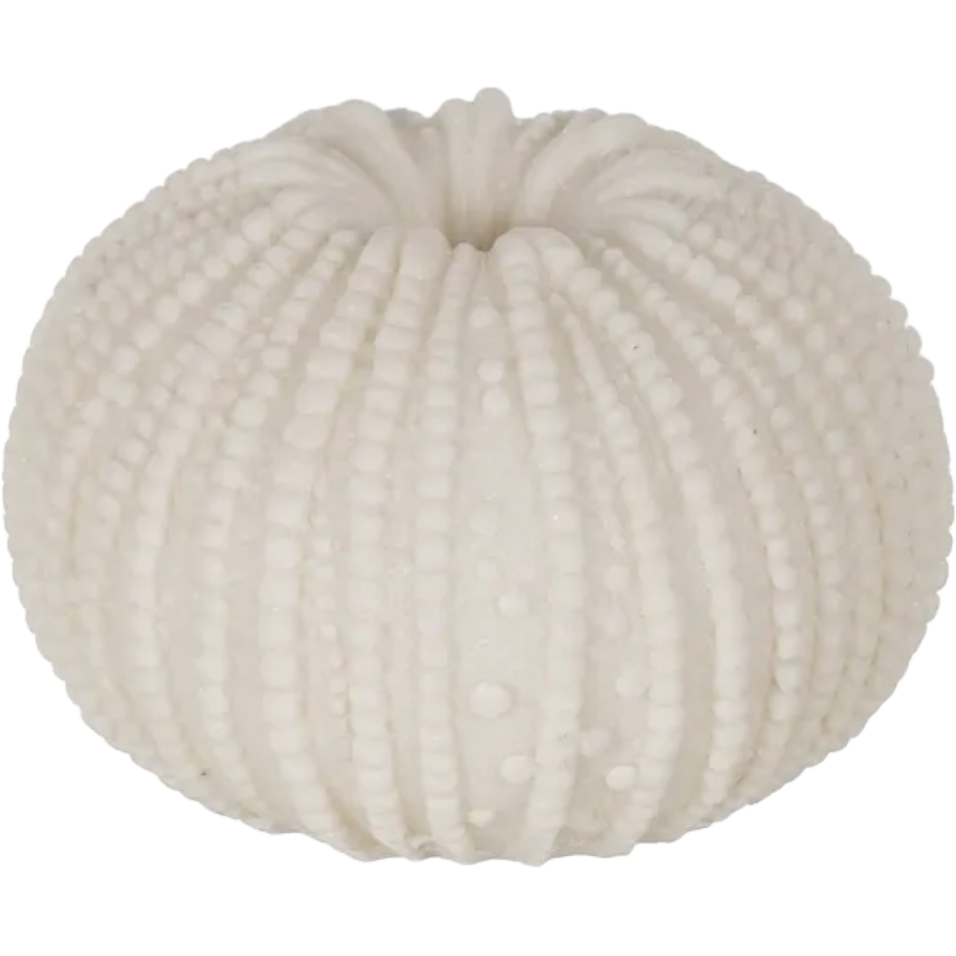 Sea Urchin Table Lamp