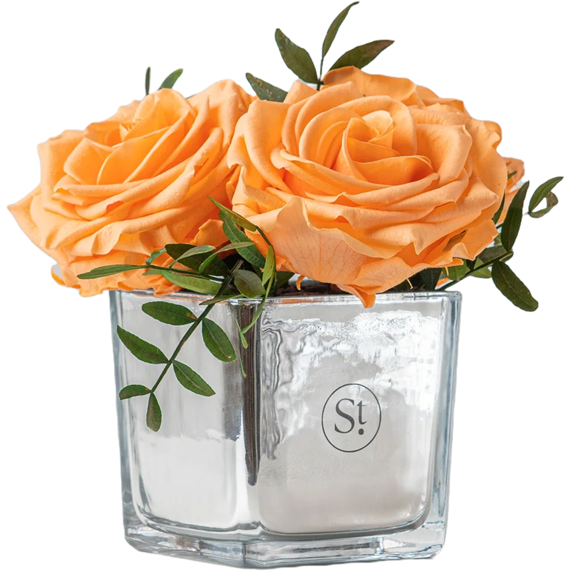 Melody - Preserved Rose Arrangement