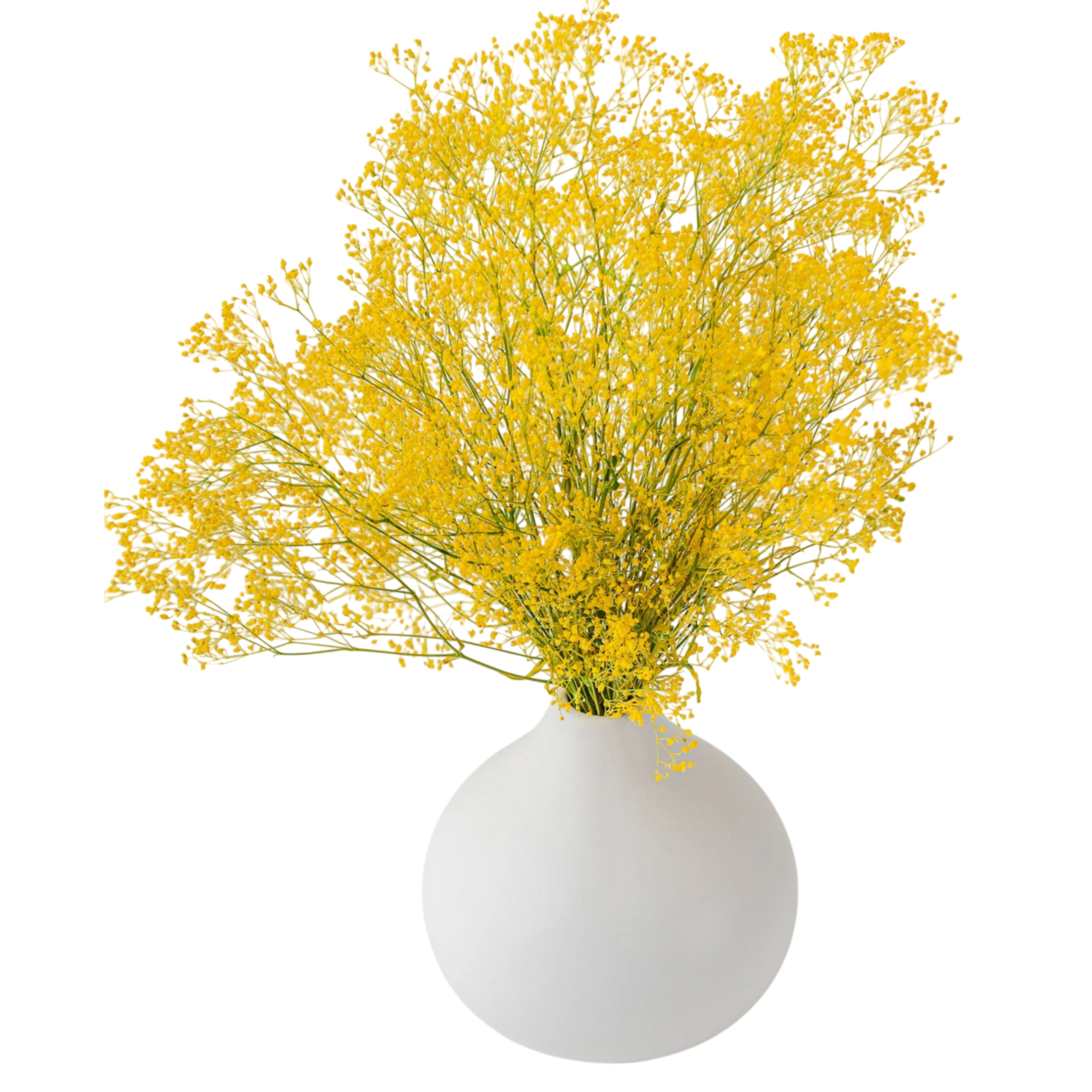 Golden Hour - Preserved Gypsophilia Bouquet