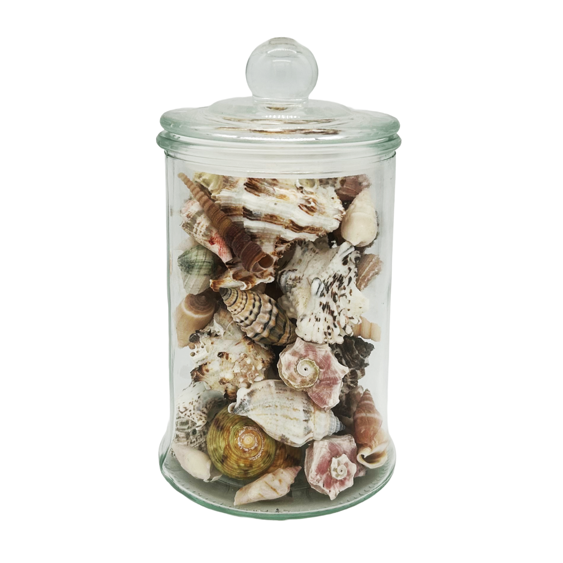 Mittleres Muschelglas