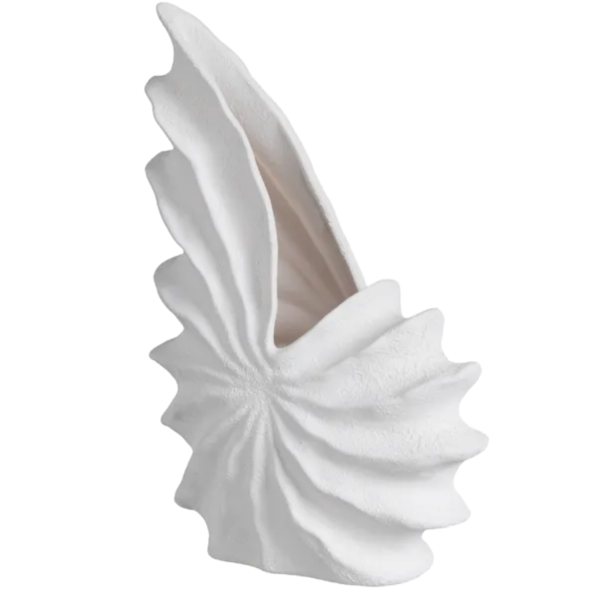Vase Shell Decoration