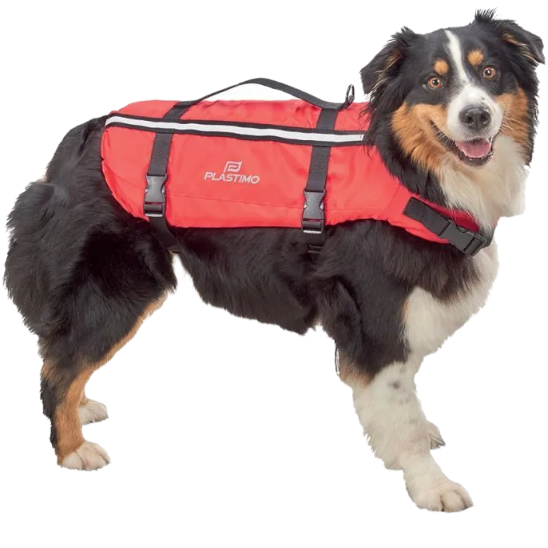 Plastimo Doggy Life Jacket 