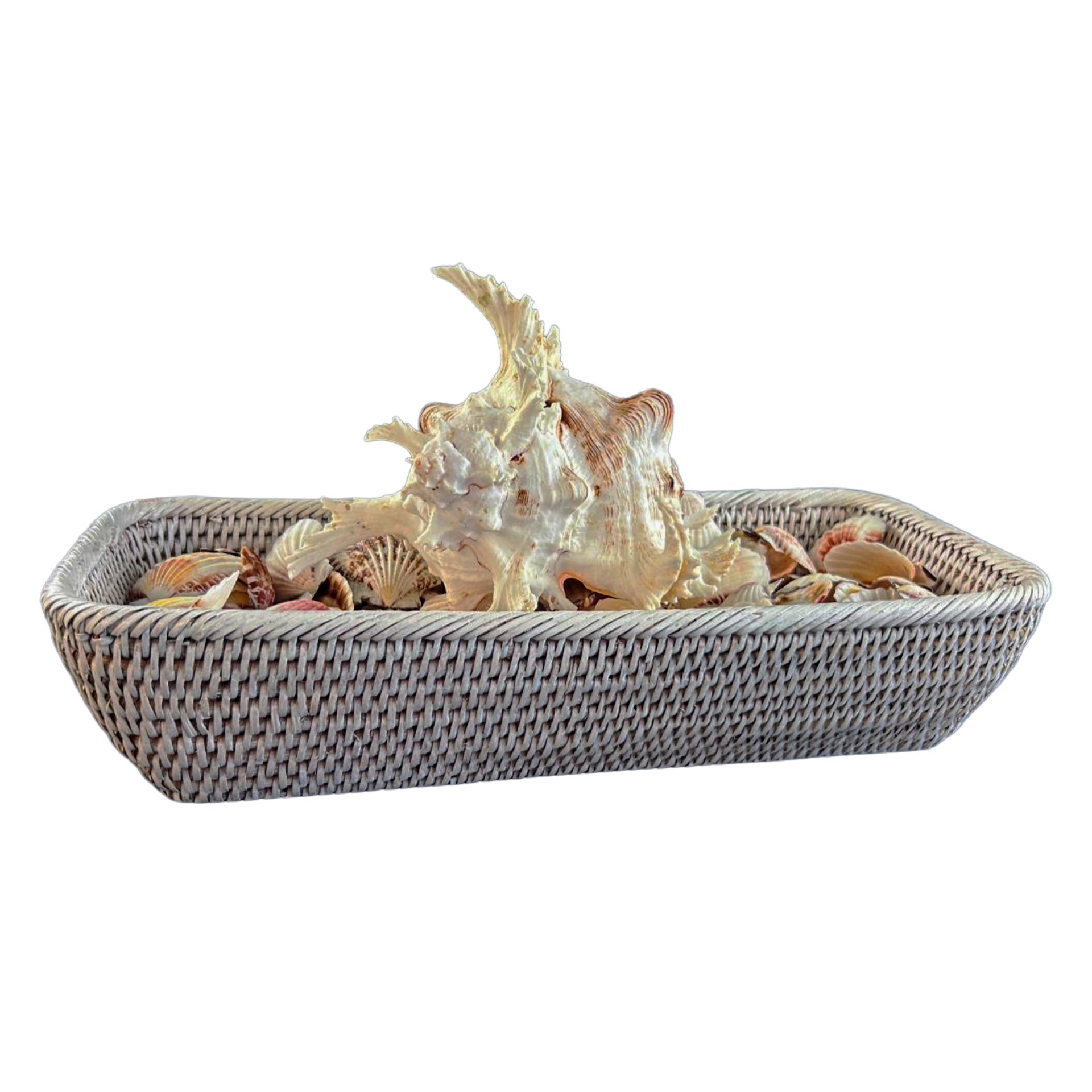 White Rattan Basket of Shells