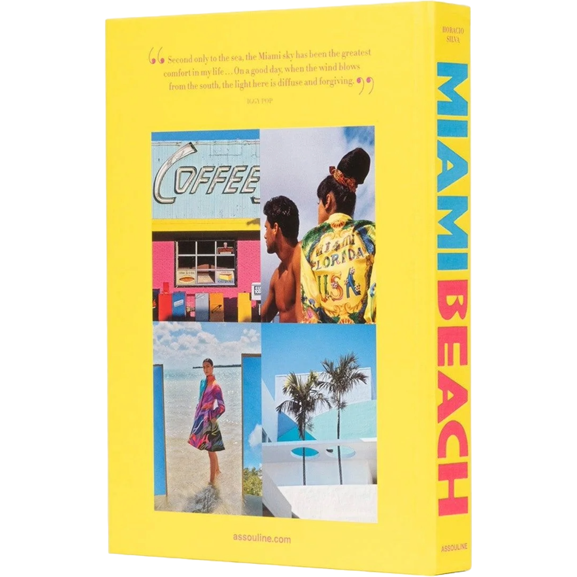 Miami Beach nimmt die Leser mit auf eine Reise durch diese kühne und wunderbare Metropole.