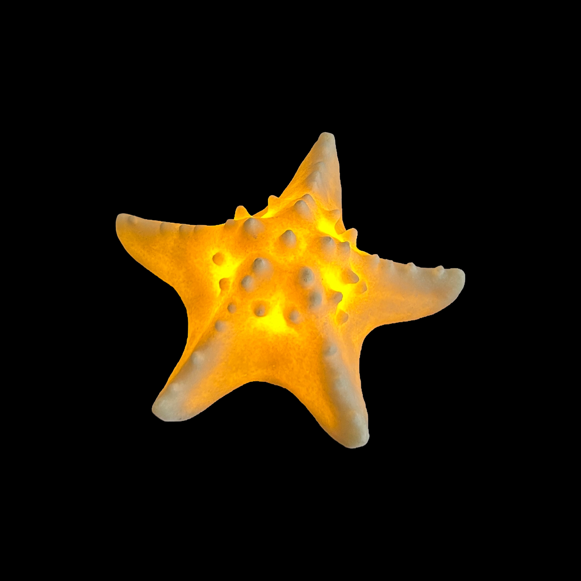 Starfish Battery Table Lamp