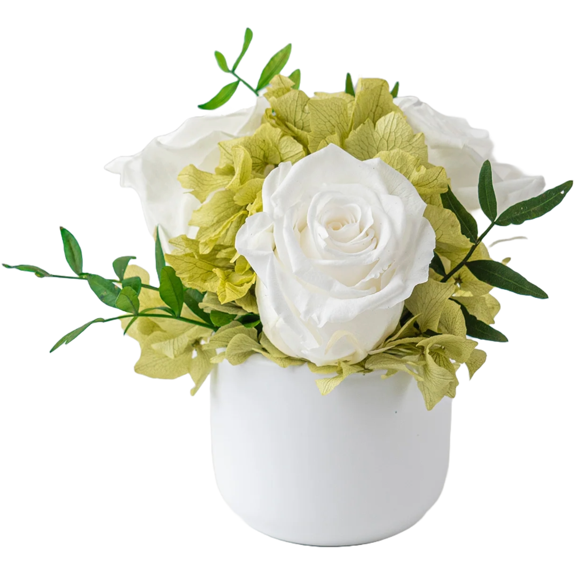 Symphony - Preserved Rose Arrangement