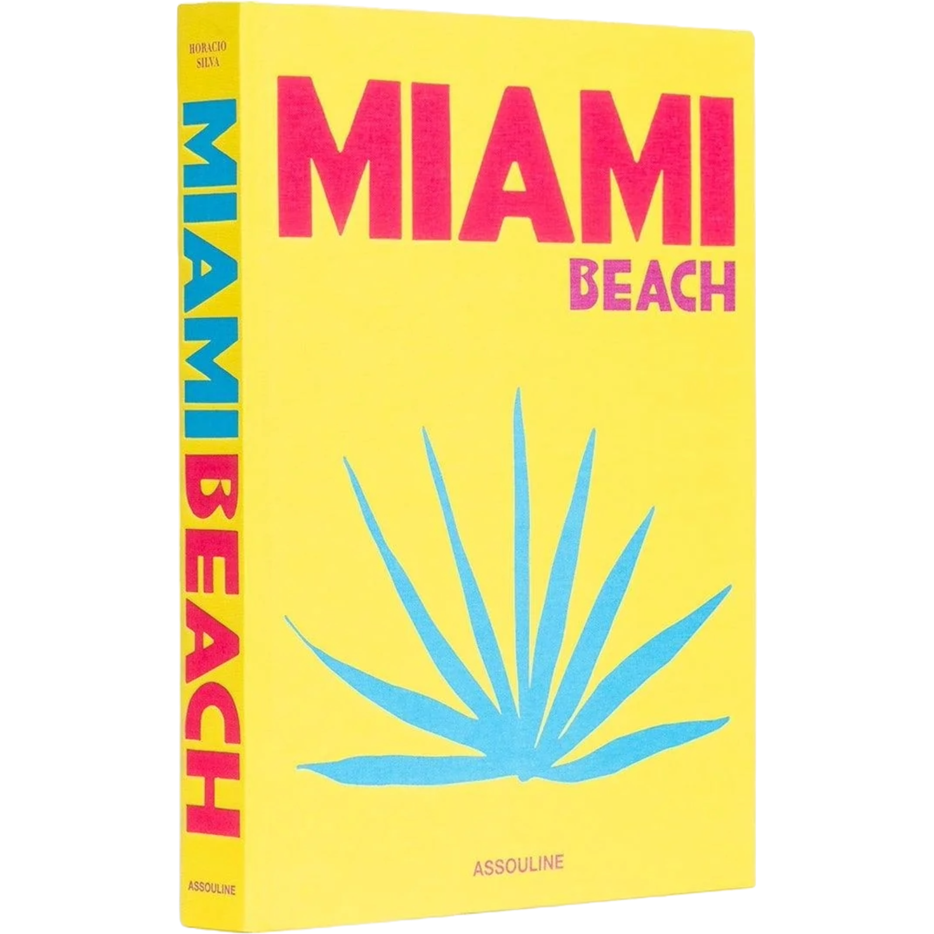 Miami Beach nimmt die Leser mit auf eine Reise durch diese kühne und wunderbare Metropole.