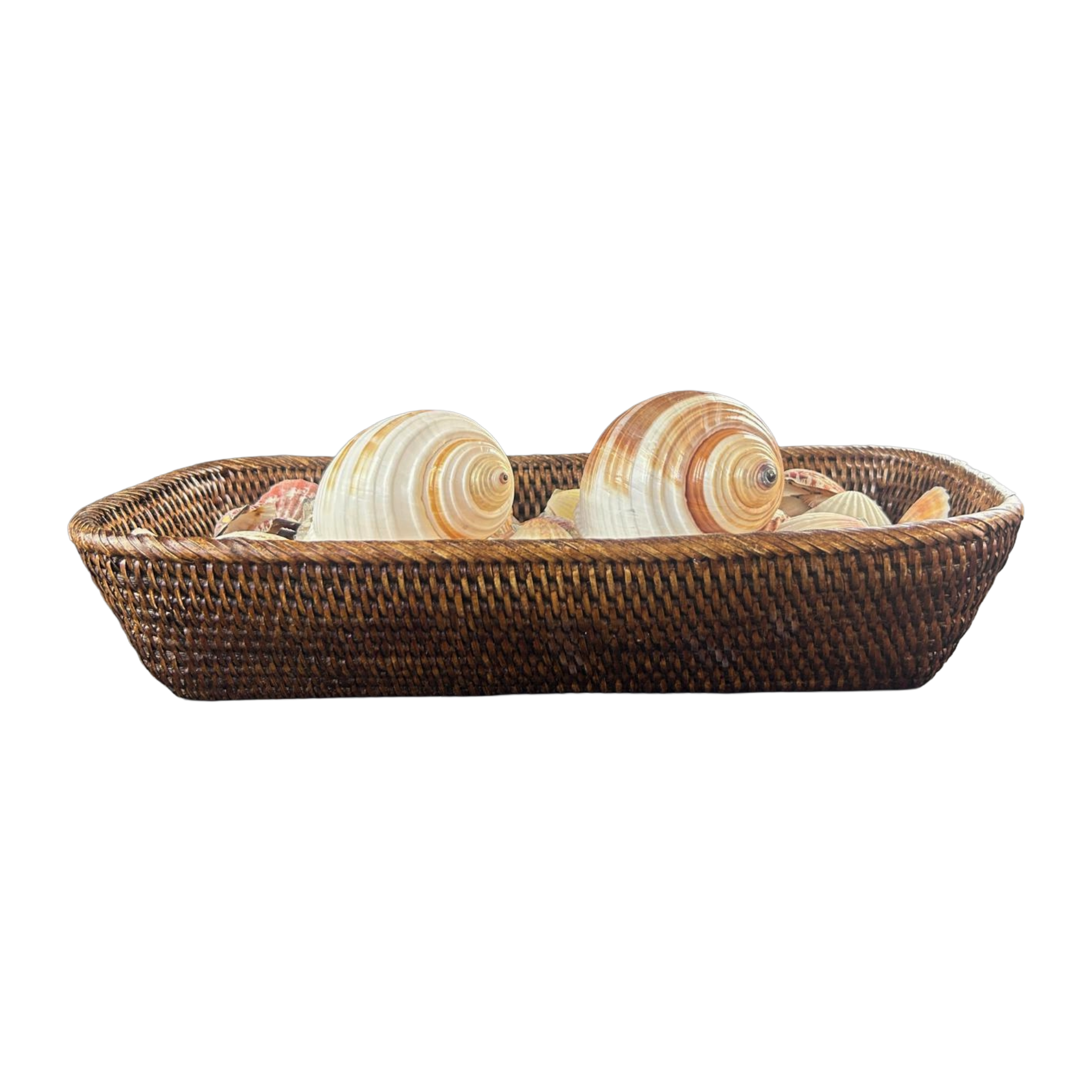 Wenge Rattan Basket of Shells
