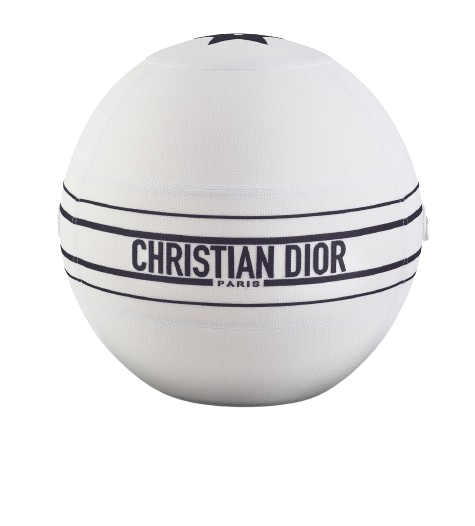 Wellness Ball Active Sitting X Dior